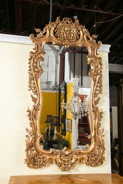 Monumental Louis XV Style Giltwood Mirror Exquisite Details