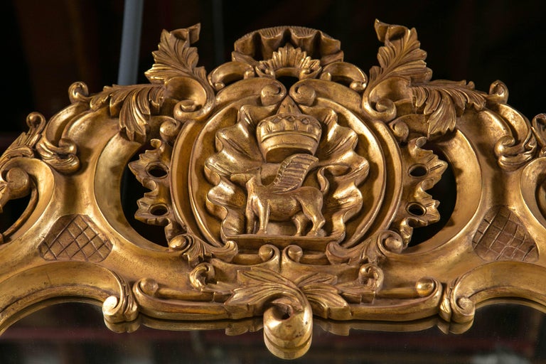 Monumental Louis XV Style Giltwood Mirror Exquisite Details For Sale 1