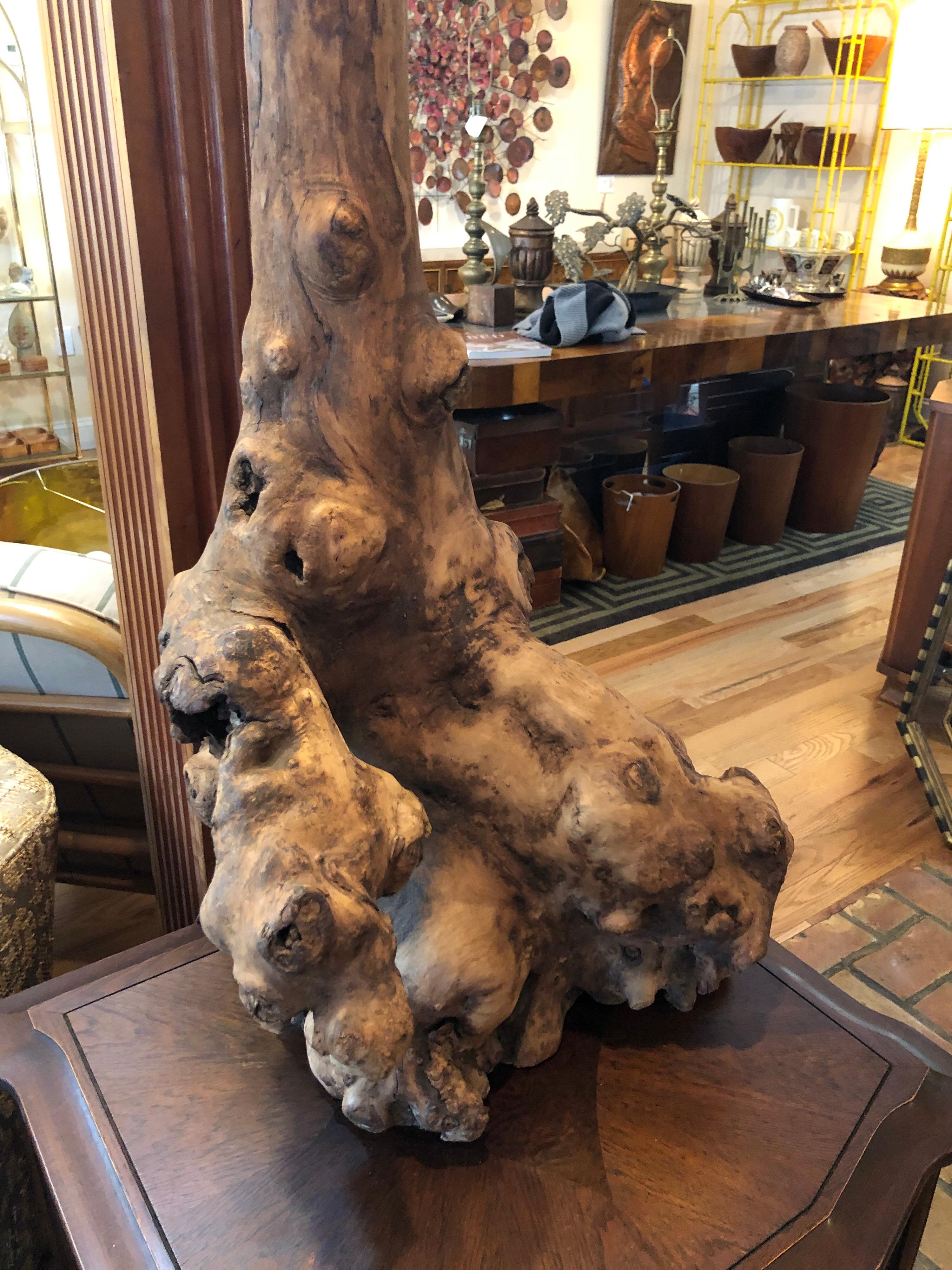 Lámpara monumental de madera de deriva de mediados de siglo en venta 9