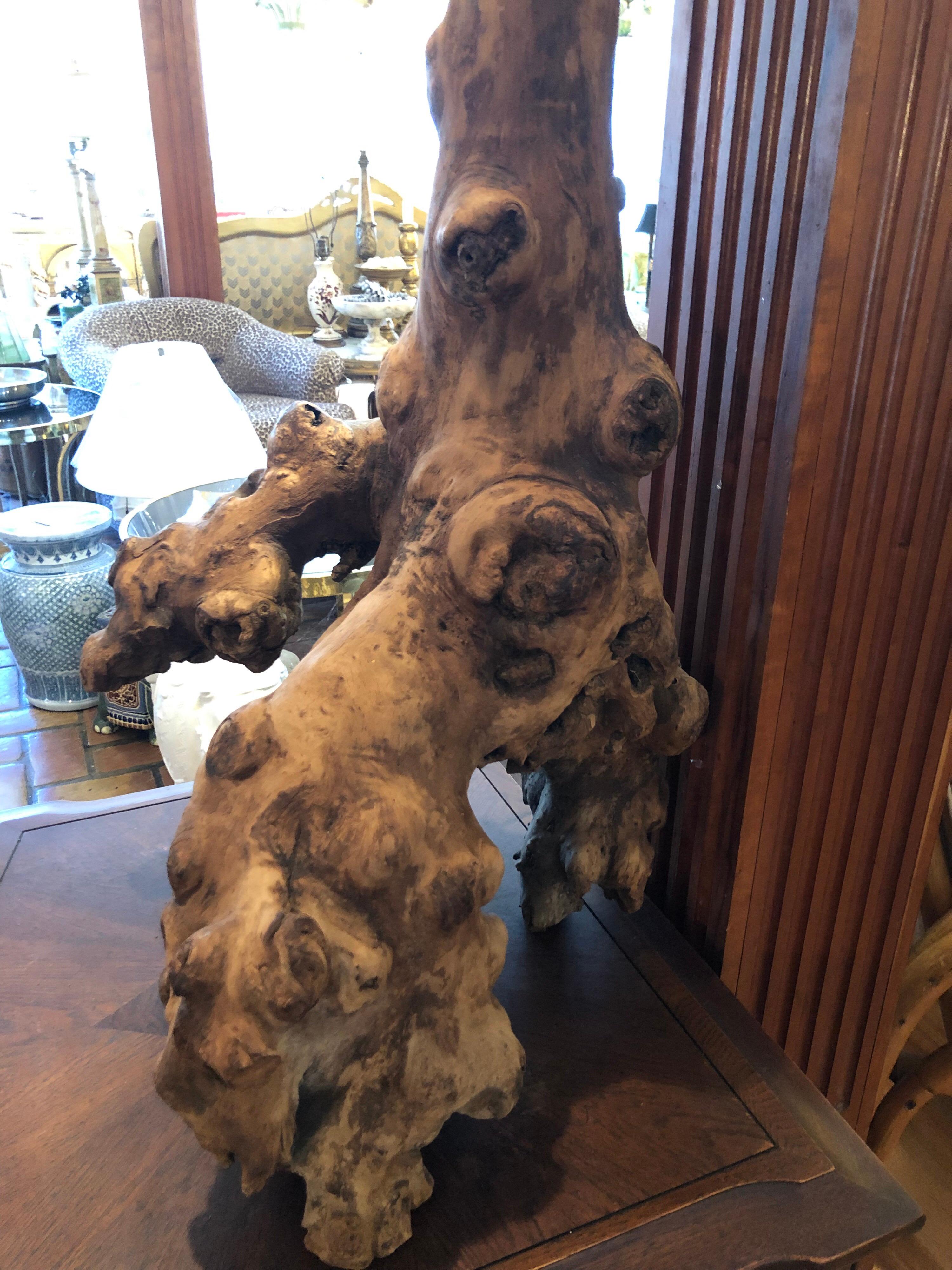 Monumental Mid Century Driftwood Lamp In Good Condition For Sale In Redding, CT