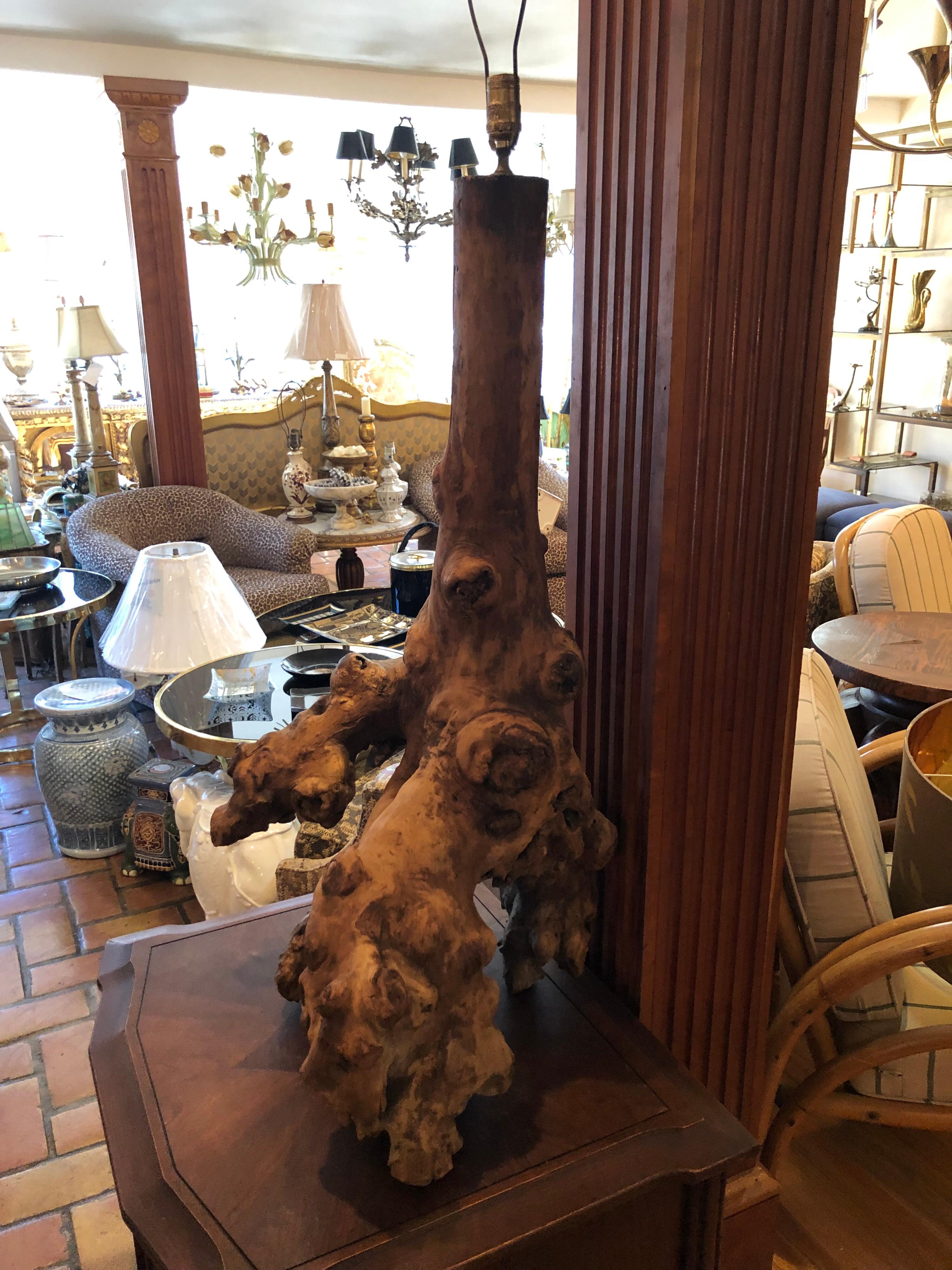 Mid-20th Century Monumental Mid Century Driftwood Lamp For Sale