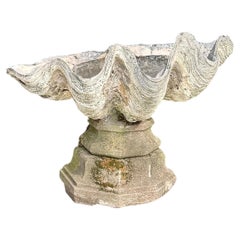 Monumentale Muschelschale einer Riesenmuschel