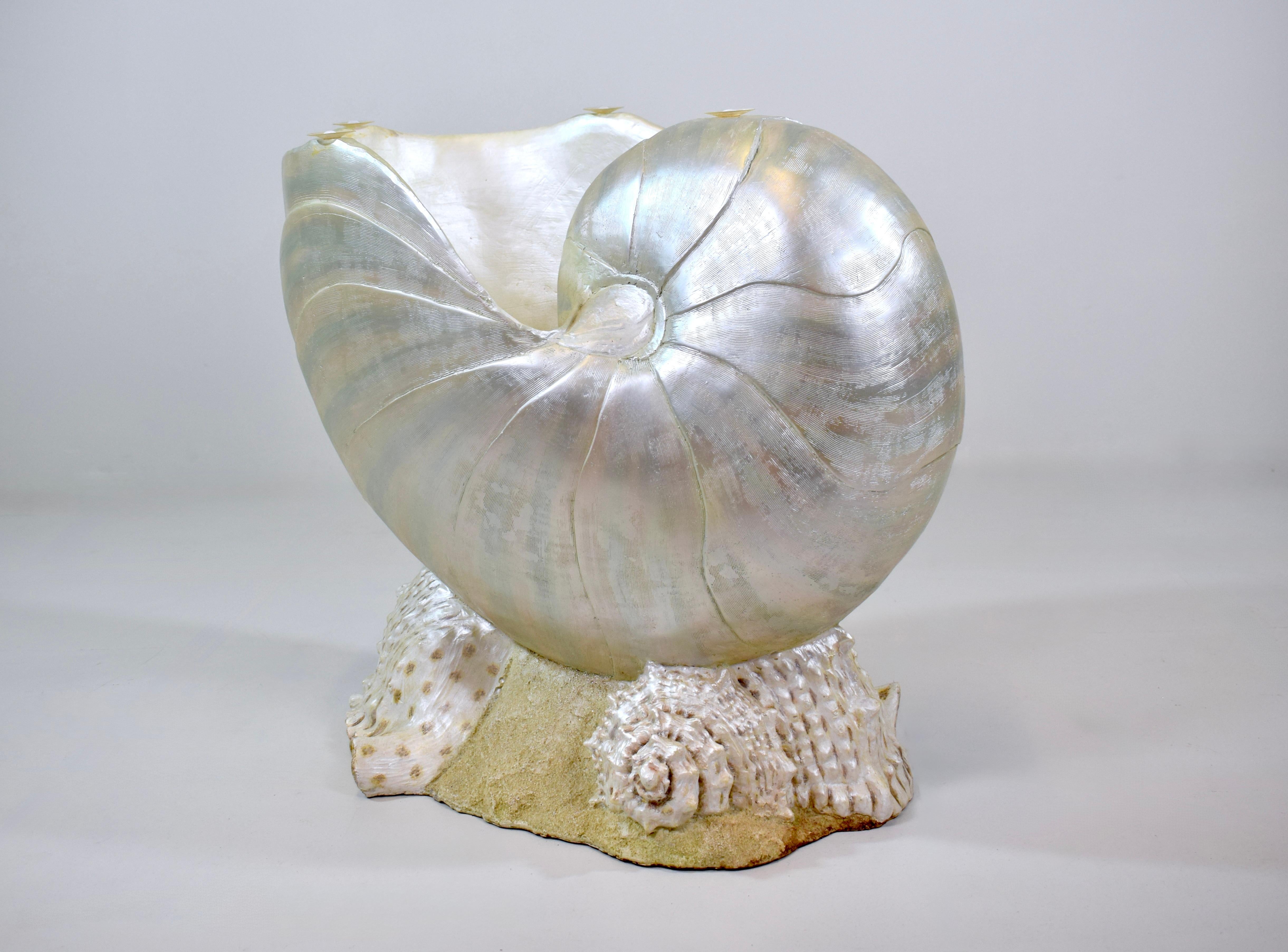 Monumentaler Nautilus Muschel Couchtisch oder Beistelltisch im Angebot 3