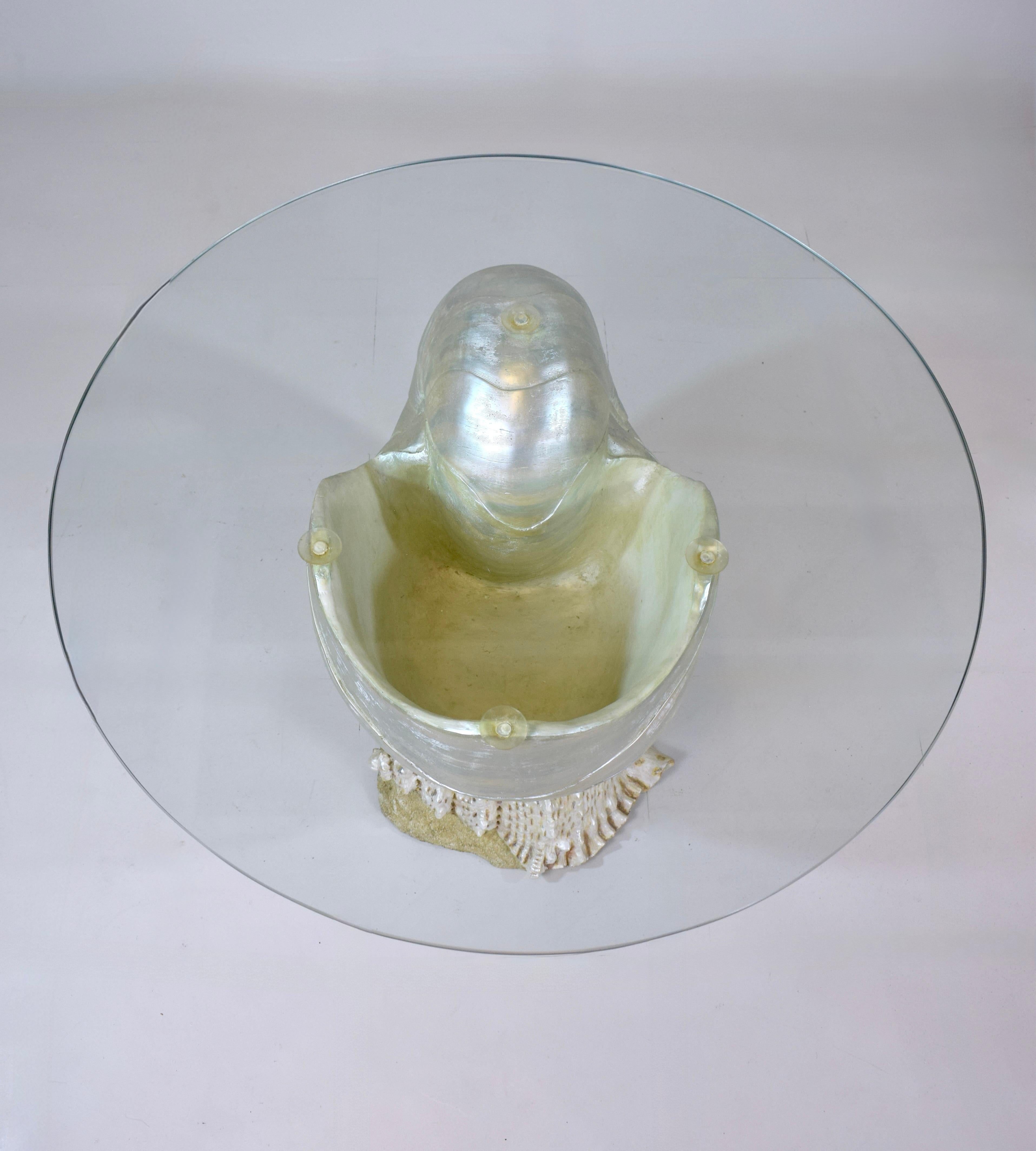 Monumentaler Nautilus Muschel Couchtisch oder Beistelltisch im Angebot 4