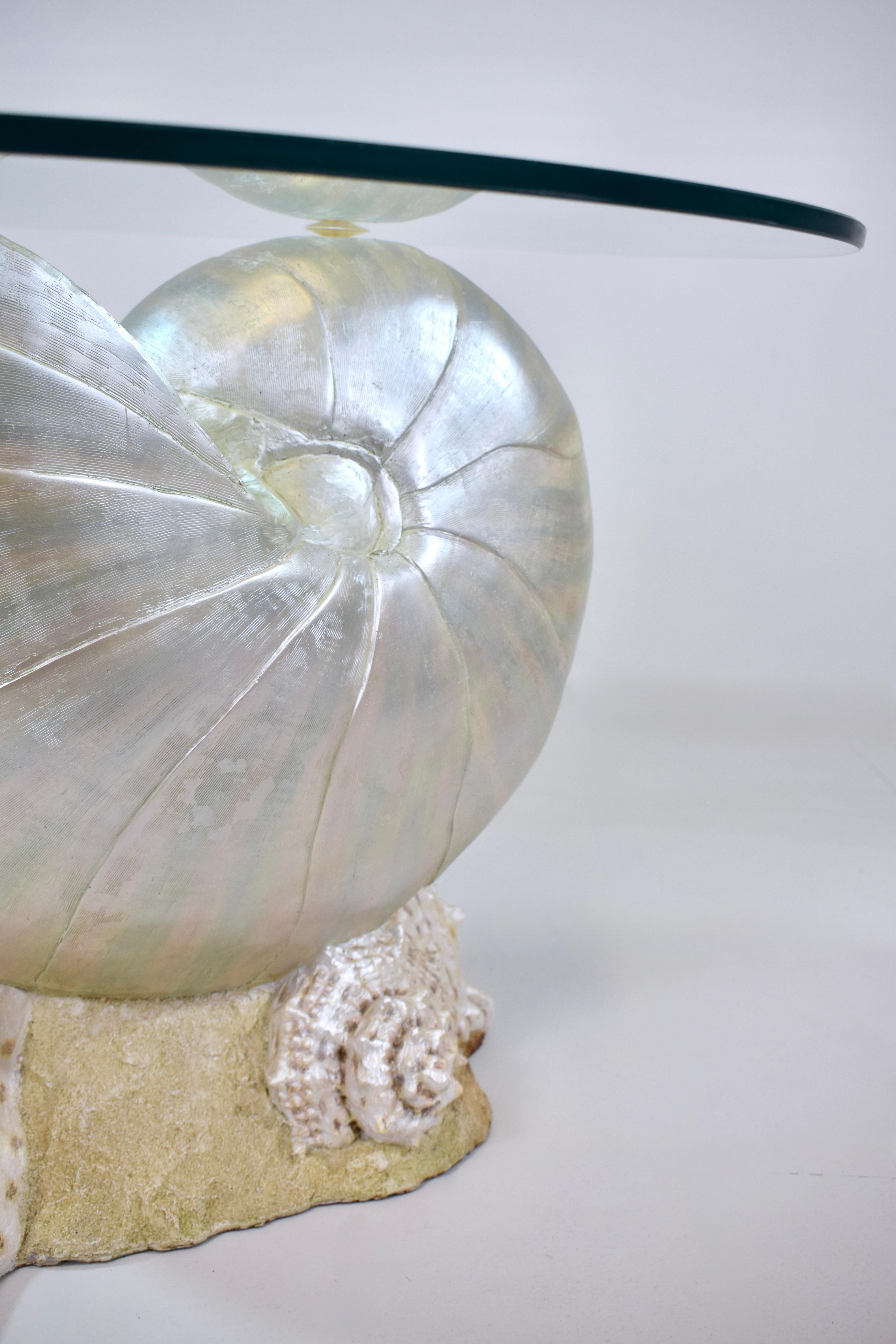 Monumentaler Nautilus Muschel Couchtisch oder Beistelltisch (Moderne) im Angebot