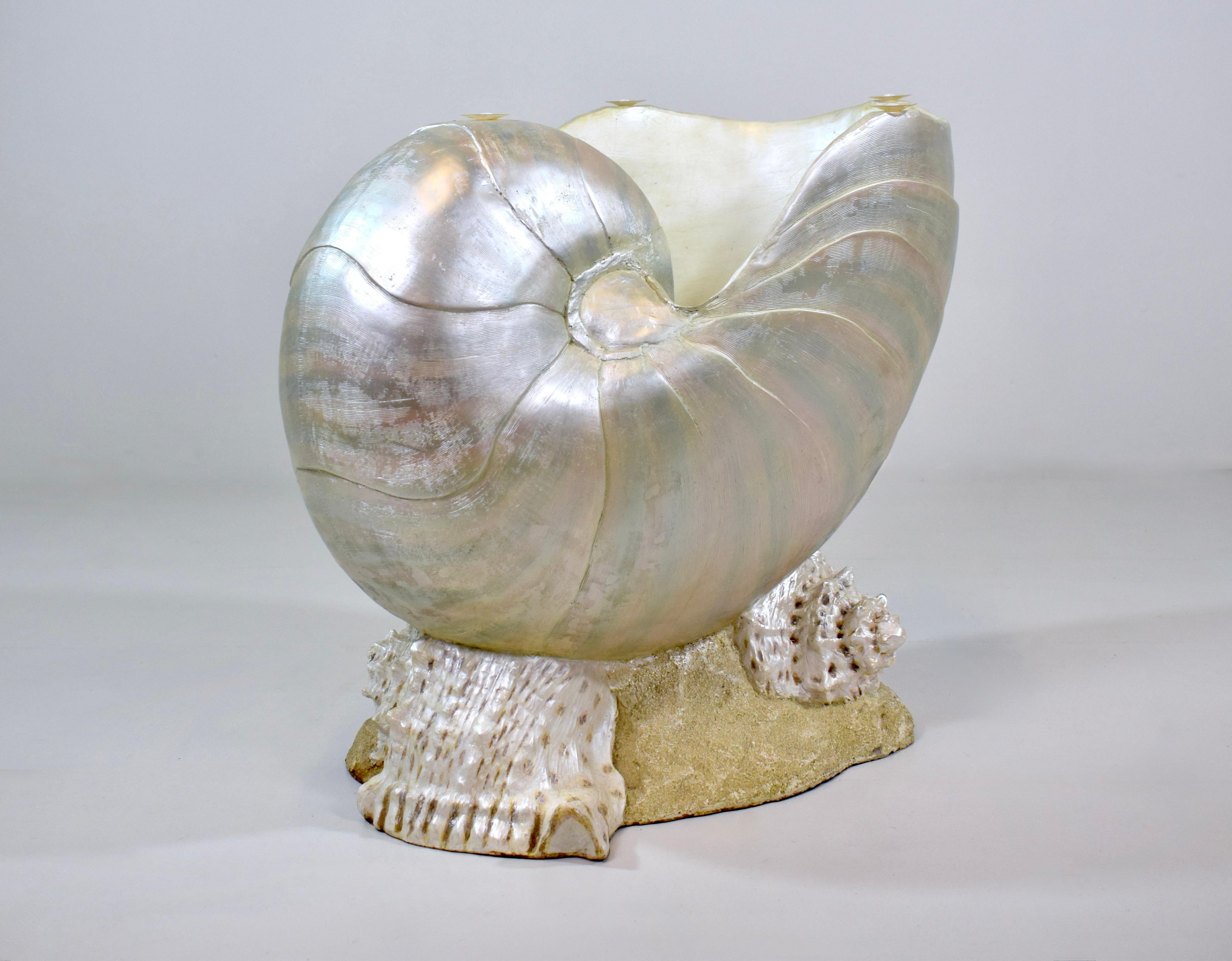Monumentaler Nautilus Muschel Couchtisch oder Beistelltisch im Angebot 2