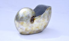 Monumental Nautilus Shell Container Vase or Planter