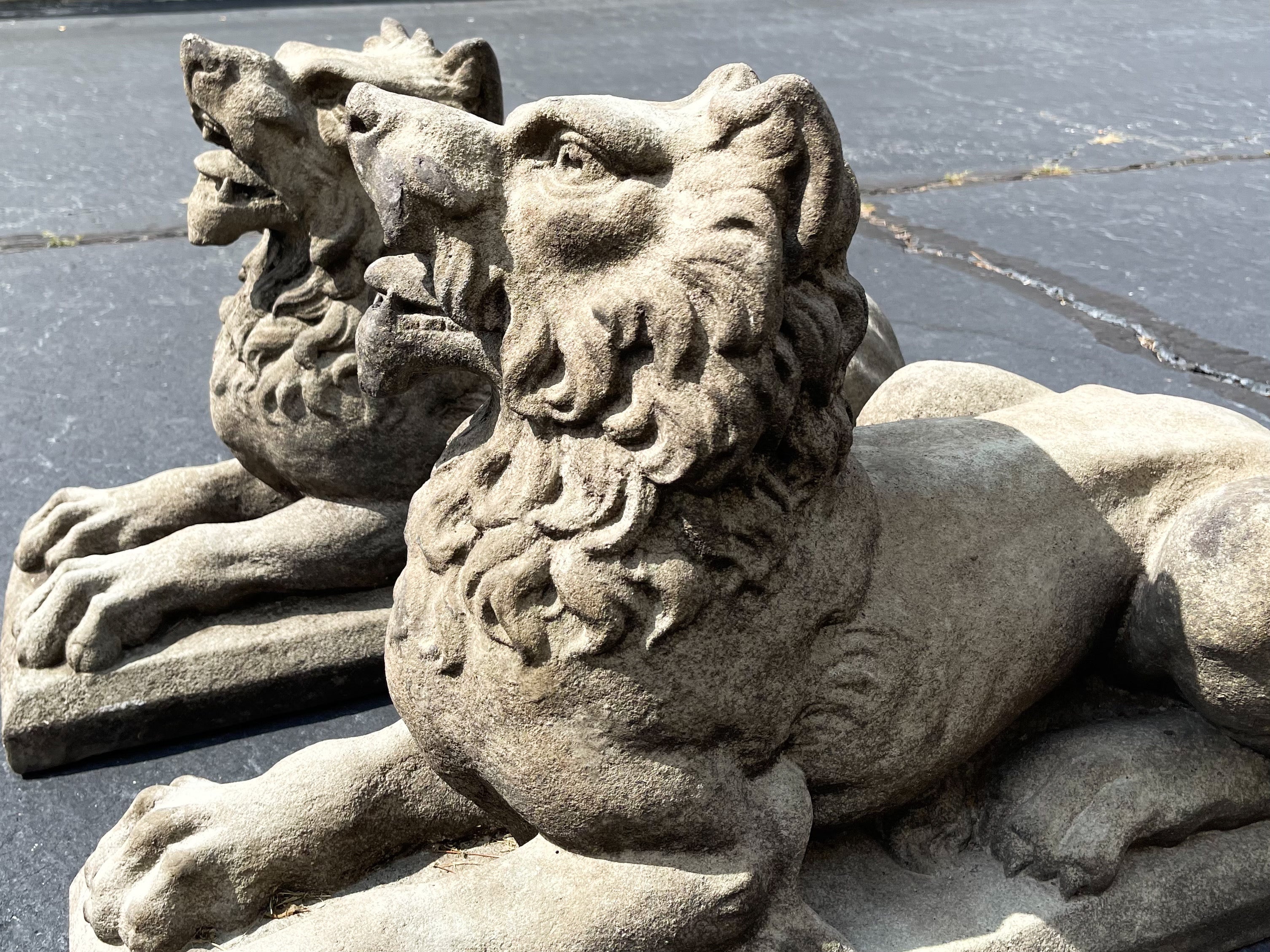 This is a killer pair of exceptional concrete recumbent guardian lions. Love the roaring posture! The are extremely heavy and in very good condition.