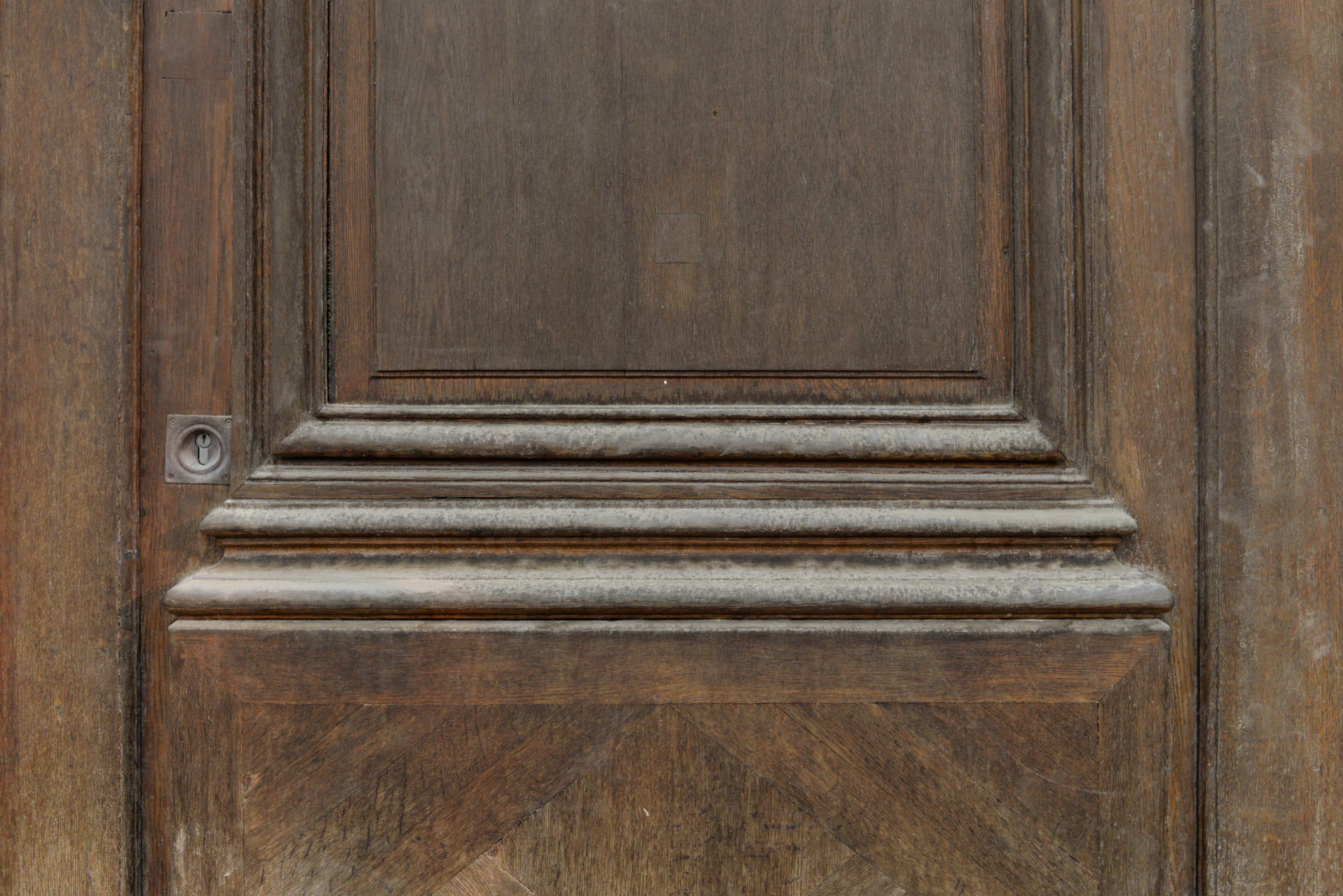 Monumental Oak Door, 19th Century For Sale 2