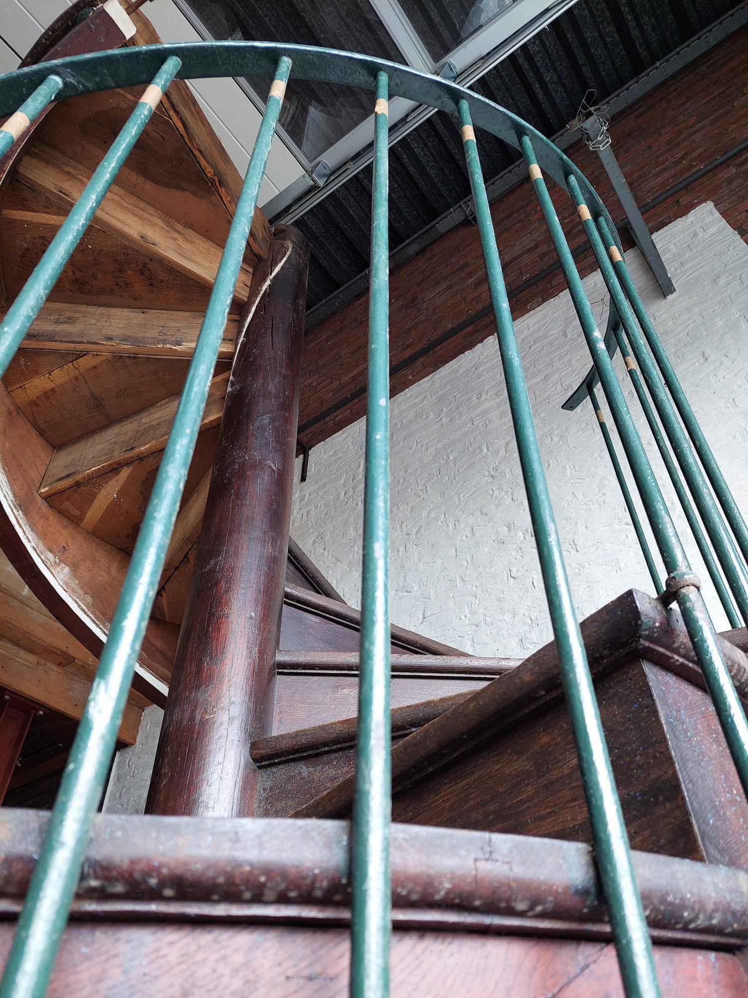 Monumental Oak Spiral Staircase With Massive Oak Trunk in One Piece ± 450 cm For Sale 2