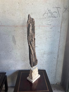 Monumentale organische Küsten-Vintage-Treibholz-Skulptur auf Korallenstein-Sockel