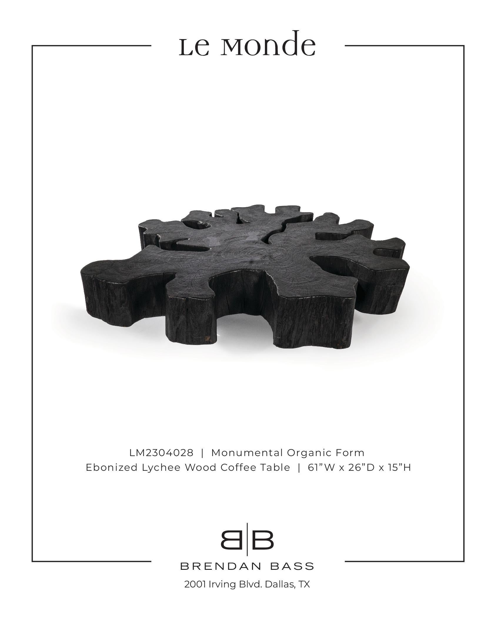 Monumental Organic Form Ebonized Lychee Wood Coffee Table In Good Condition In Dallas, TX