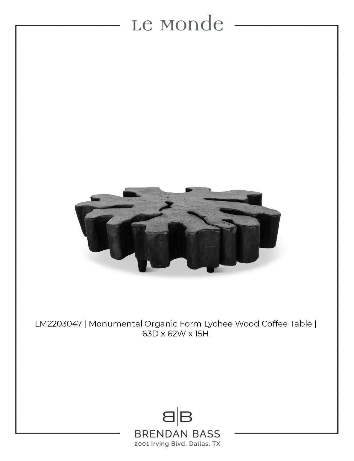 Monumental Organic Form Lychee Wood Coffee Table 7