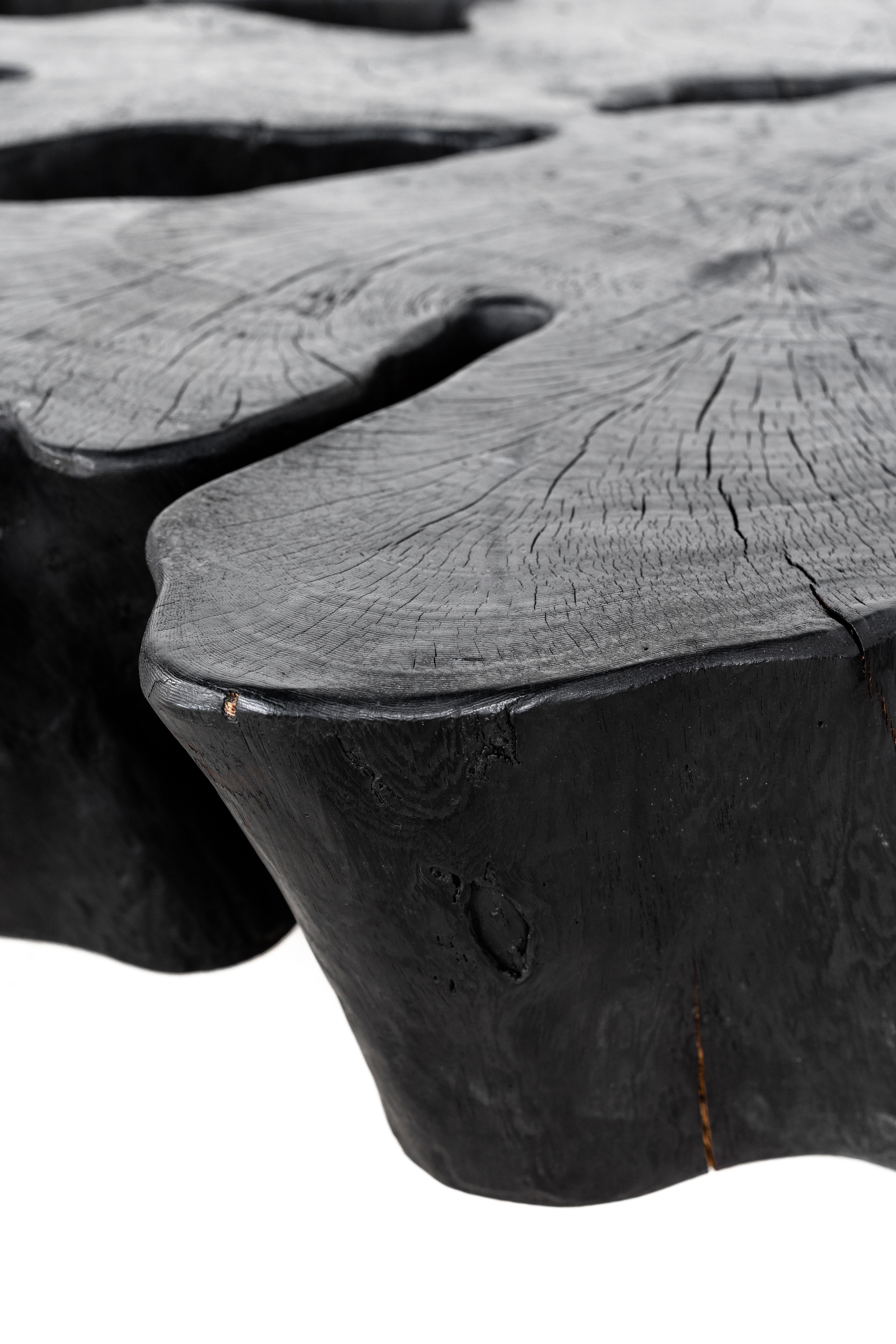 Monumental Organic Form Lychee Wood Coffee Table 4