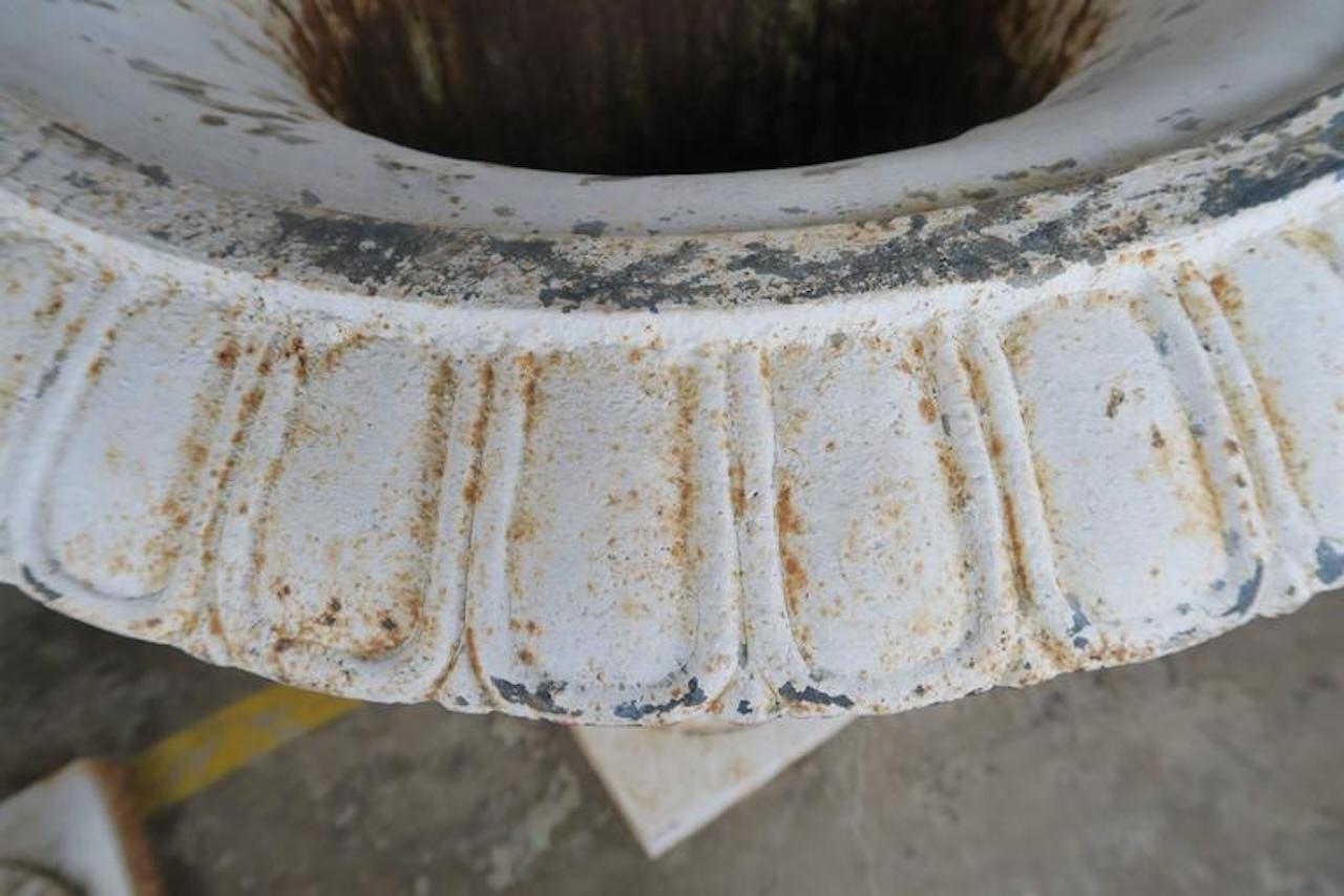 Monumental Painted Cast Iron Planters, Pair For Sale 6