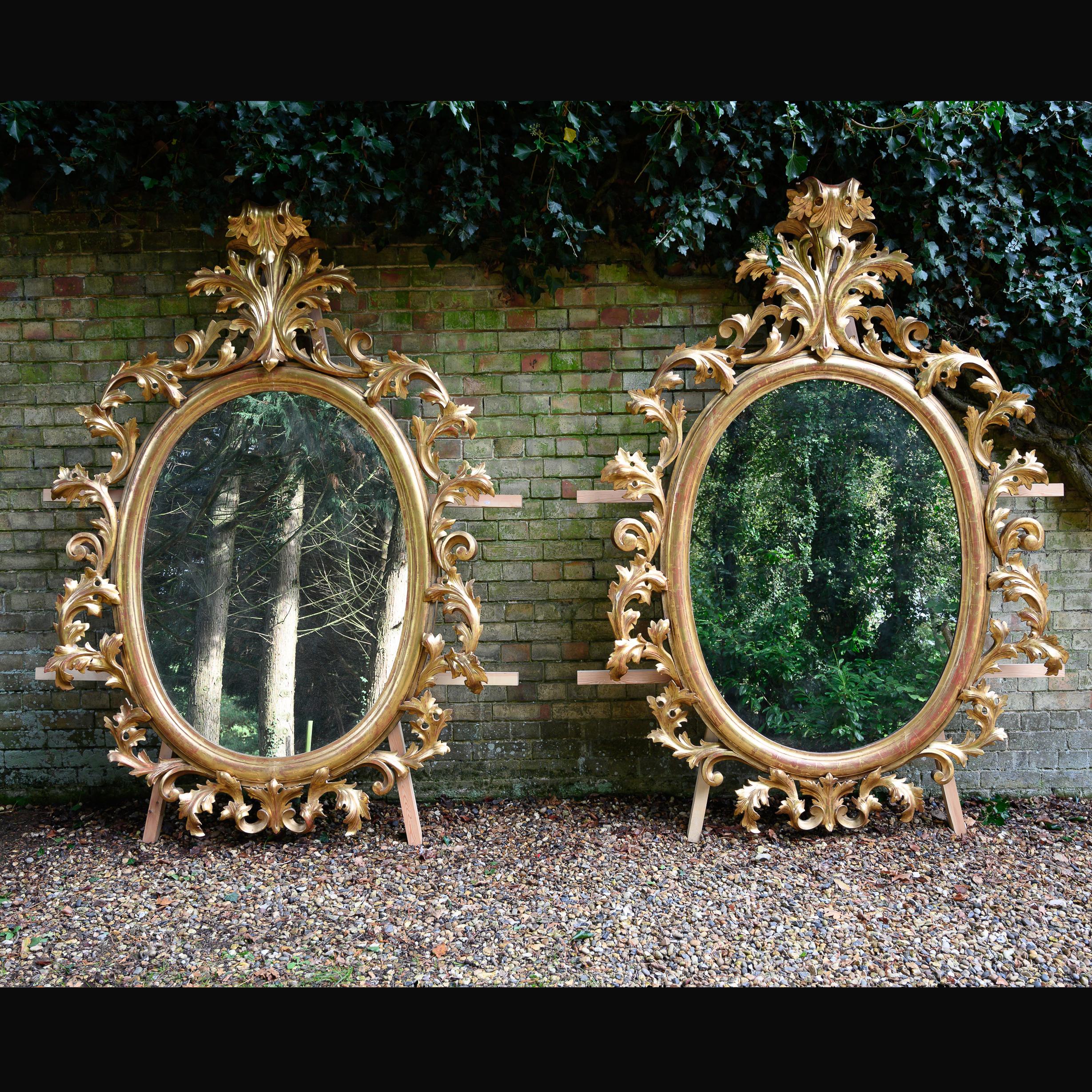 A remarkable pair of huge 19th century oval florentine carved giltwood mirrors standing 2.3 meters high.

European circa 1880.

These extremely impressive open carved and rare pair of oval giltwood mirrors are of typical Florentine design,