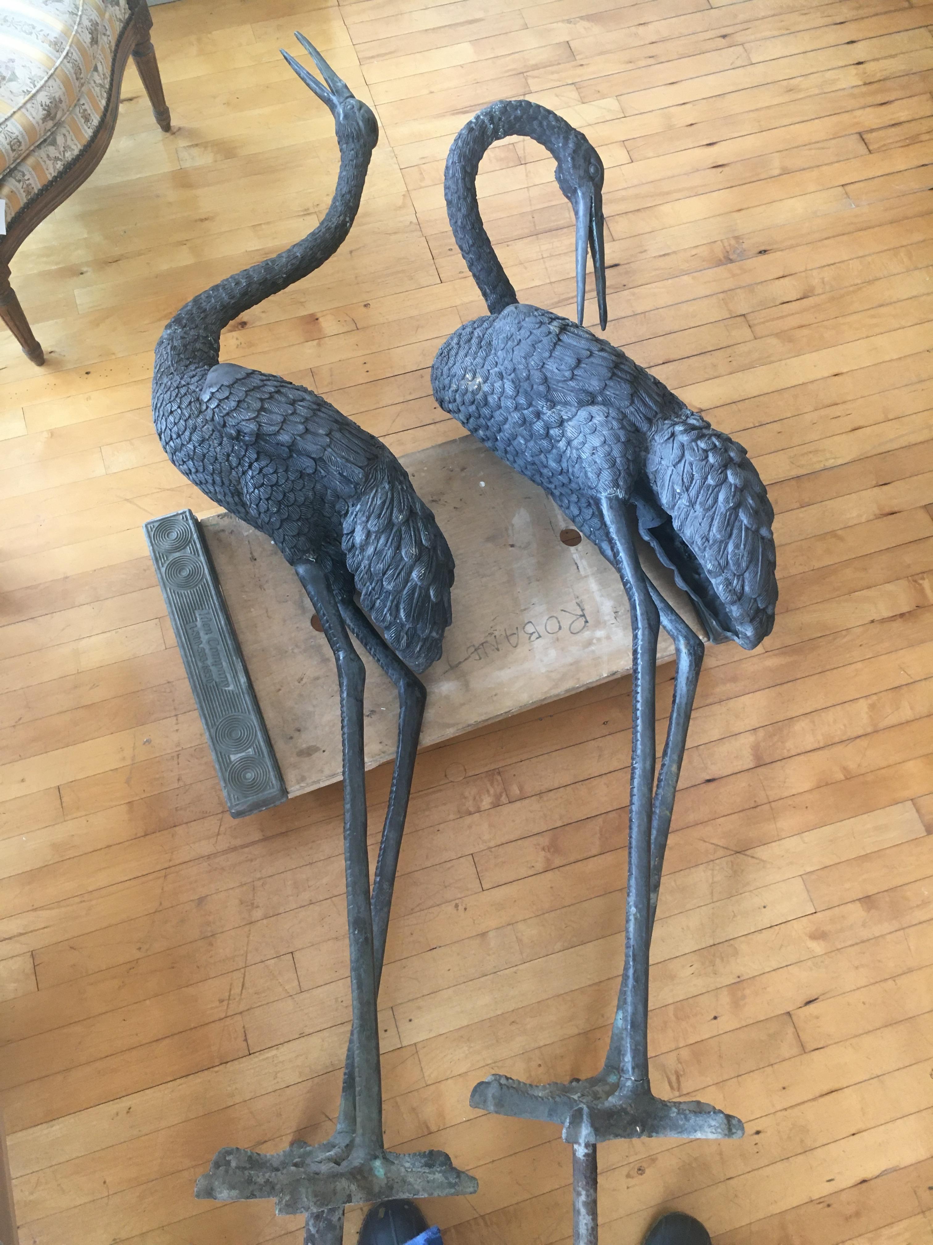 Monumental pair of bronze cranes in standing position. Great color and patina. Could be used either indoor or outdoor. We are having them mounted on an ebonized pedestal base. Note in picture that they have stakes that go into the ground that we are