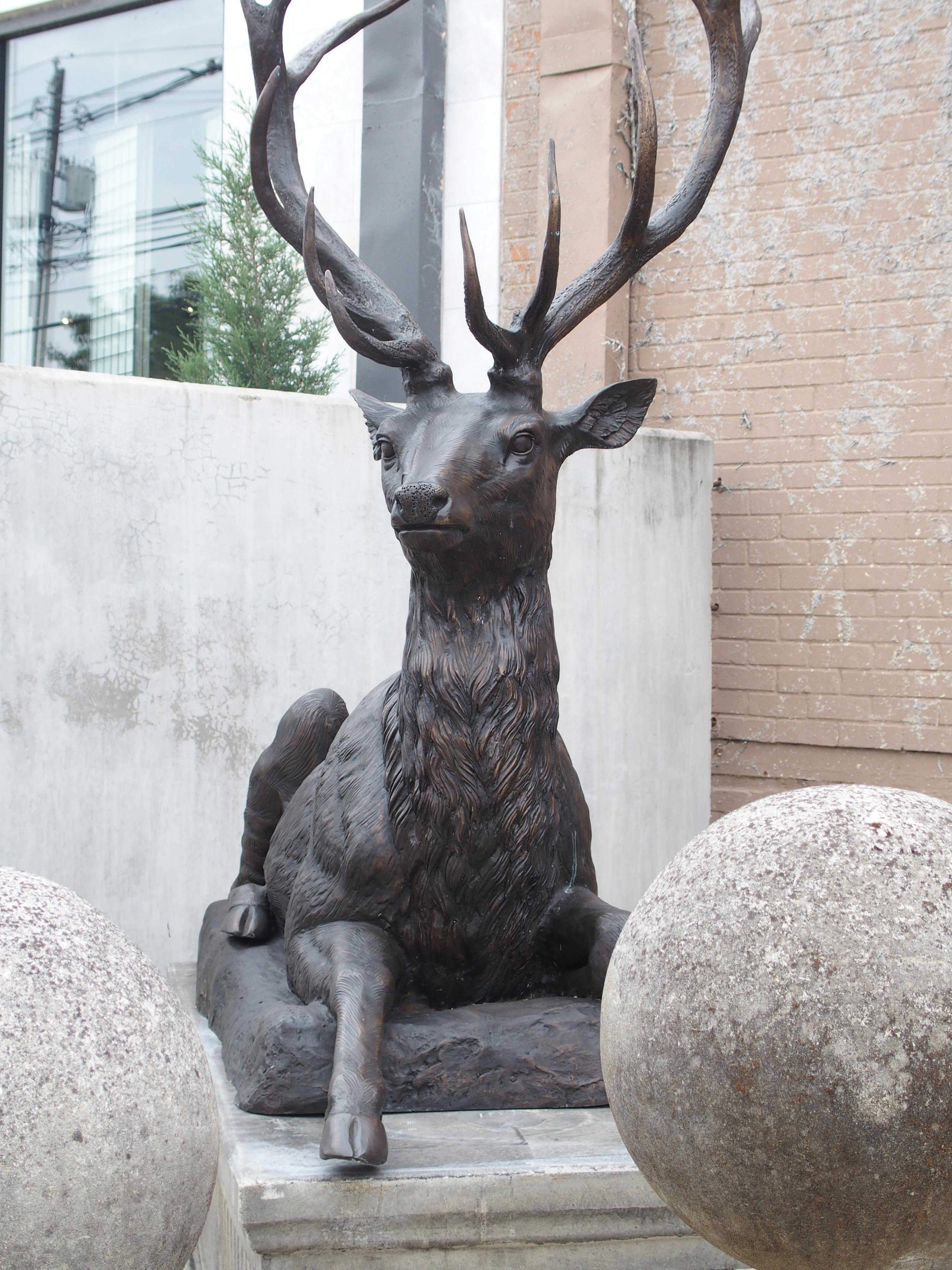 Monumental Pair of Bronze Stags on Cast Stone Pedestals, H-97 1/2 inches 12