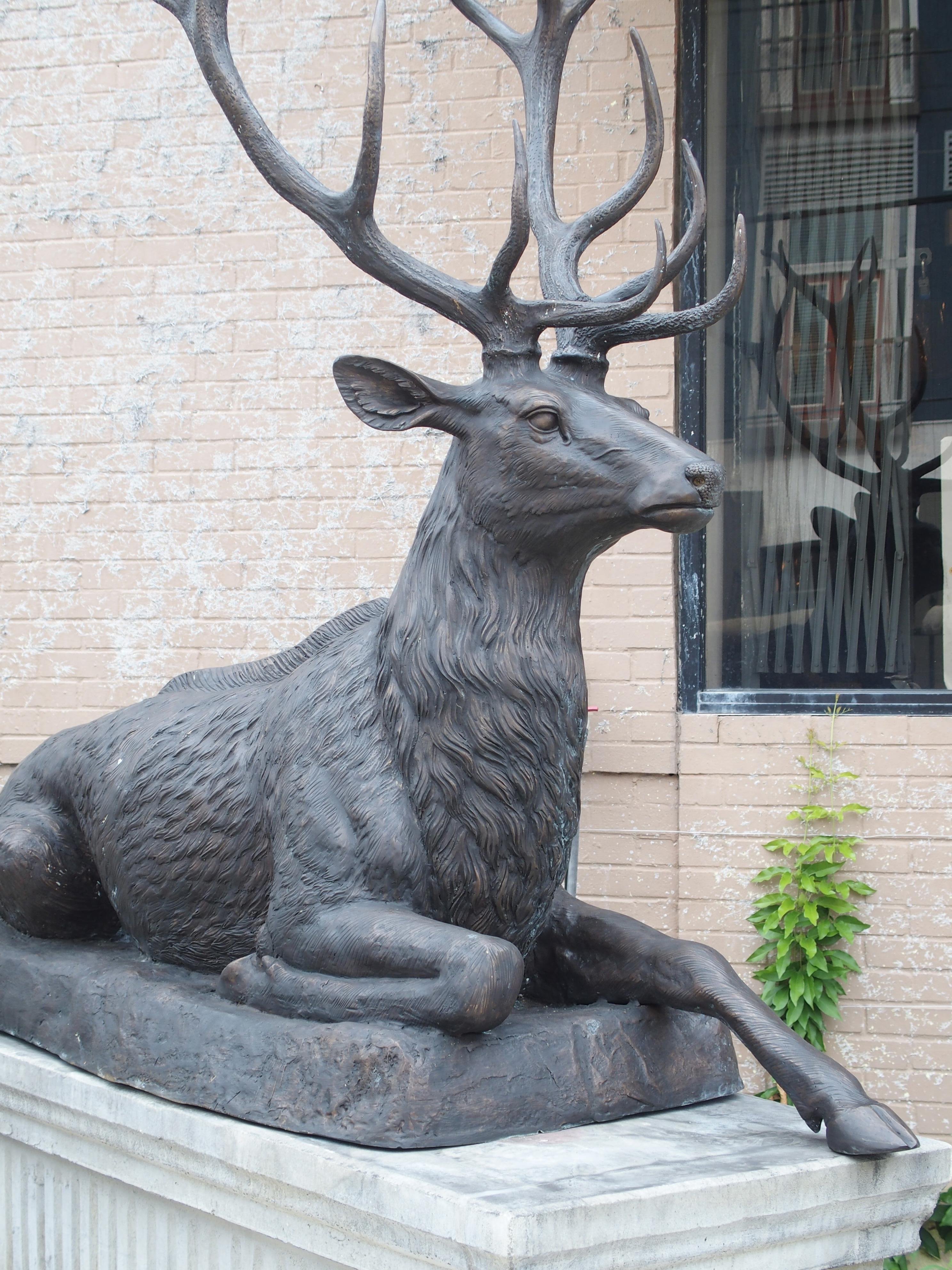 Monumental Pair of Bronze Stags on Cast Stone Pedestals, H-97 1/2 inches 13