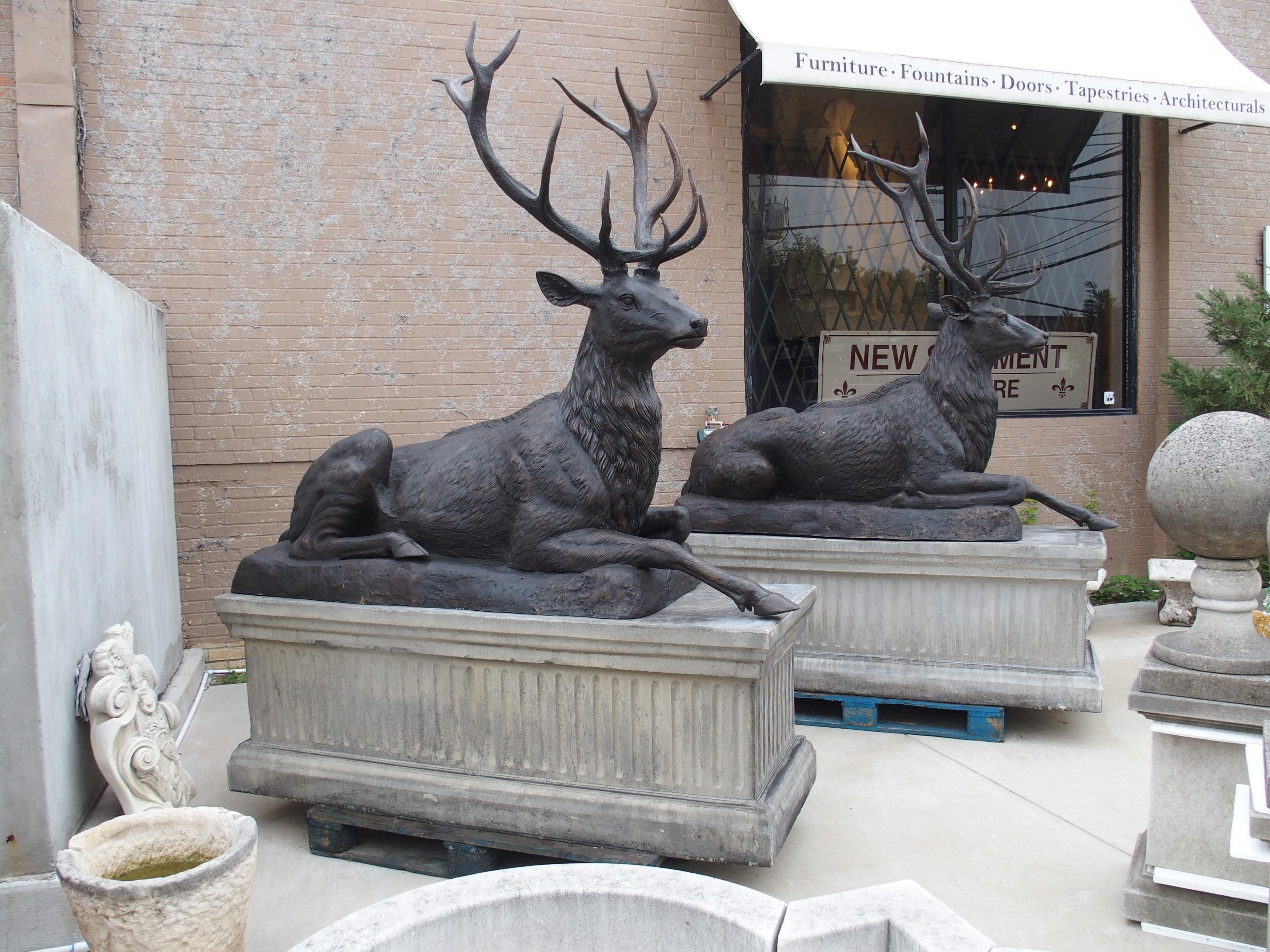 Monumental Pair of Bronze Stags on Cast Stone Pedestals, H-97 1/2 inches 14
