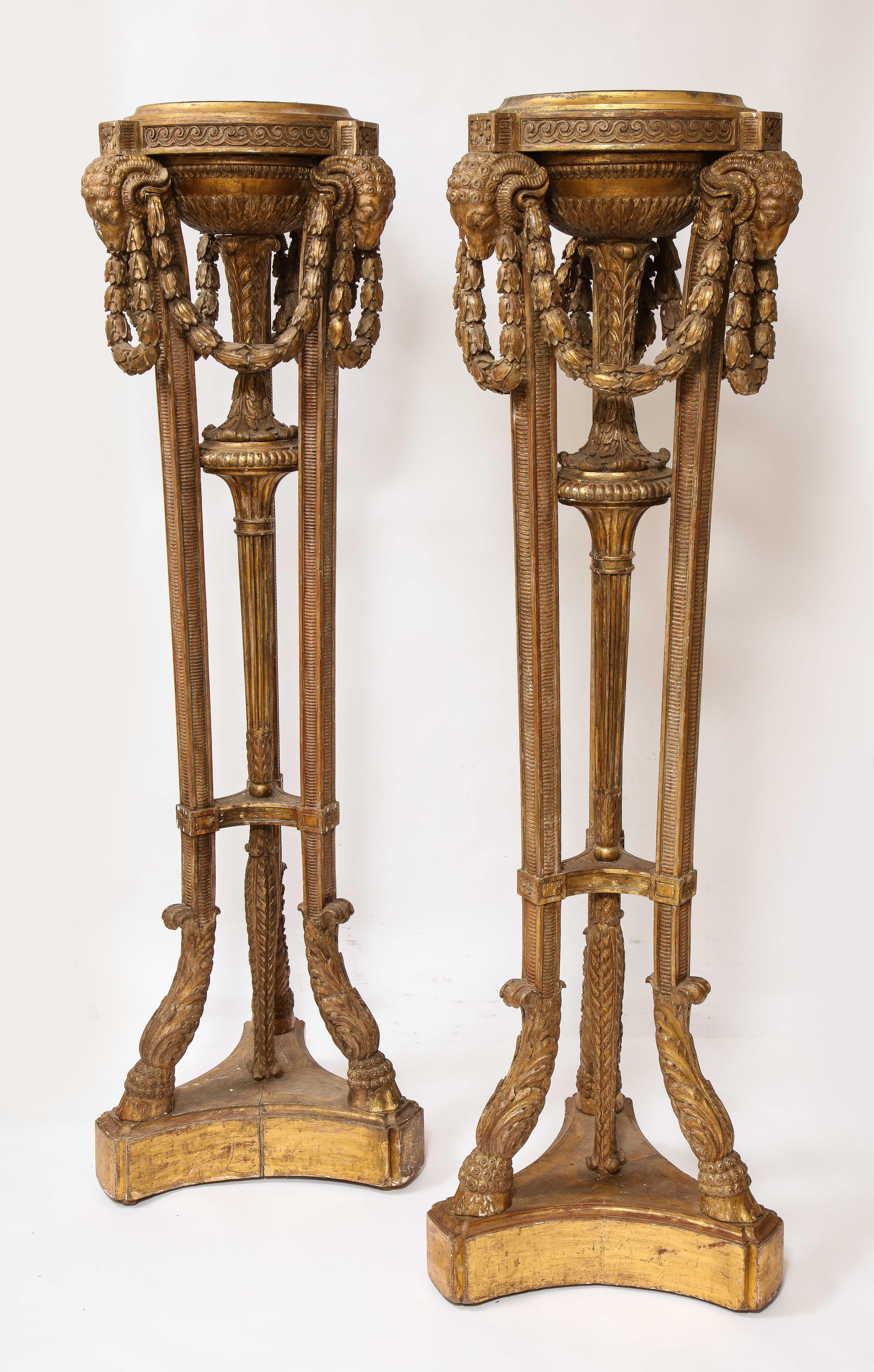 A Monumental Pair of Early Victorian Period English Giltwood Torcheres with Rams Heads, Laurels, and Swags.  This pair of carved and giltwood torchères features a neoclassical design with rams’ heads and laurel swags. Each torchère has a circular