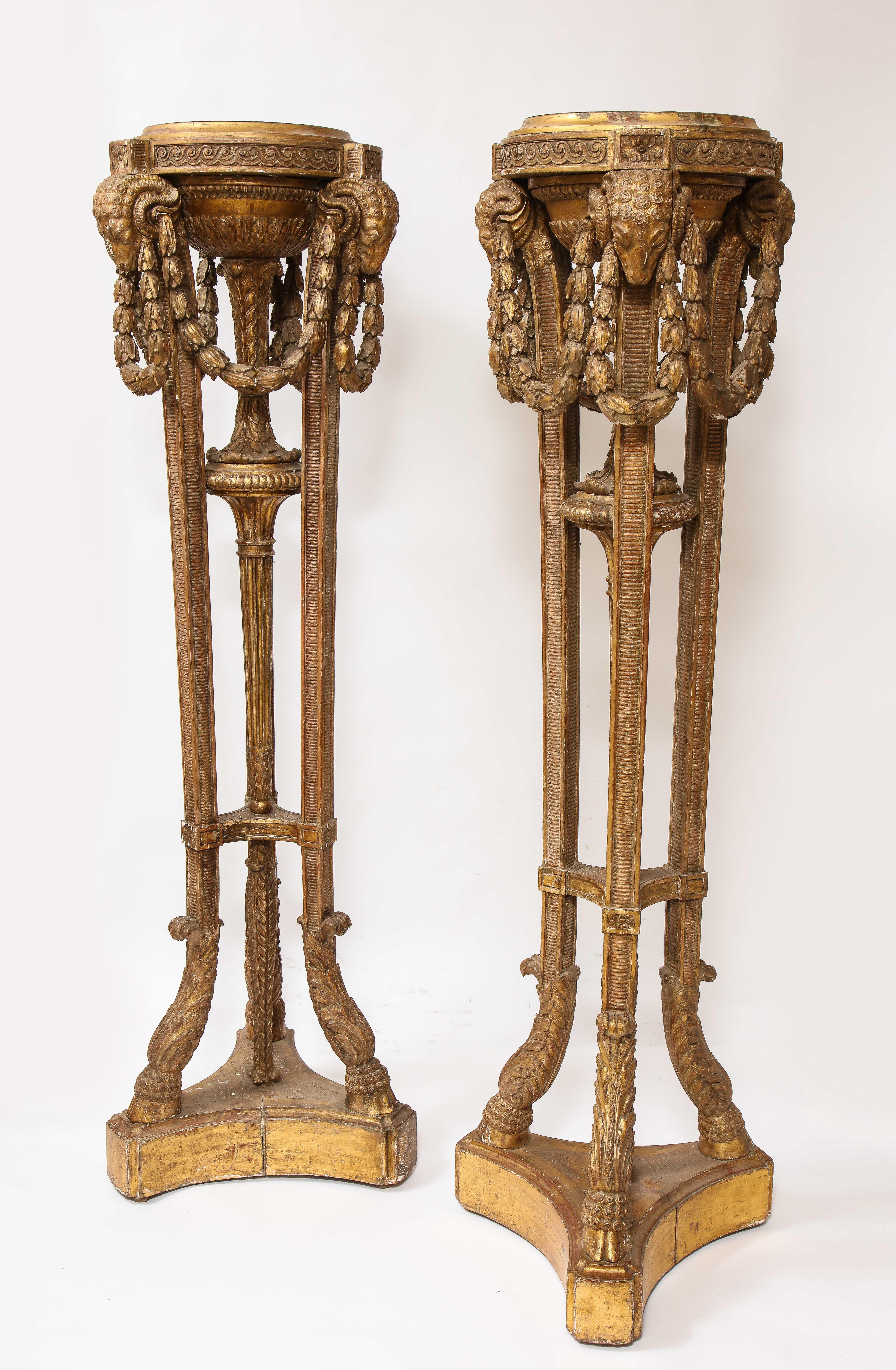 Early Victorian Monumental Pair of English Giltwood Torcheres w/ Rams Heads, Laurels, & Swags For Sale