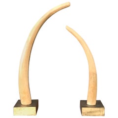 Monumental Pair of Tall geschnitzten Holz Elefanten Stoßzähne Messing Basen