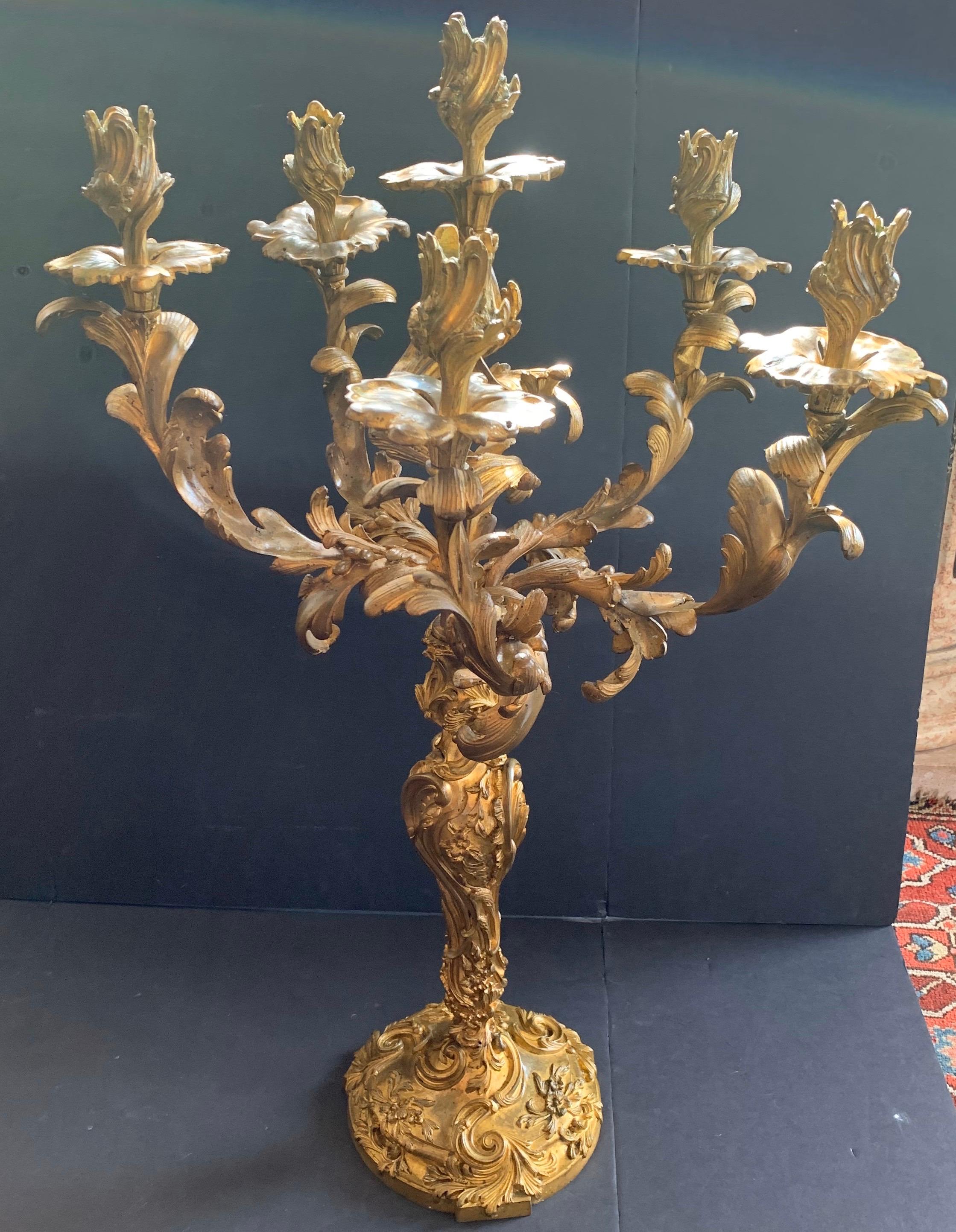 French Monumental Rococo Doré Bronze Six-Arm Scrolling Acanthus Leaves Candelabras Pair