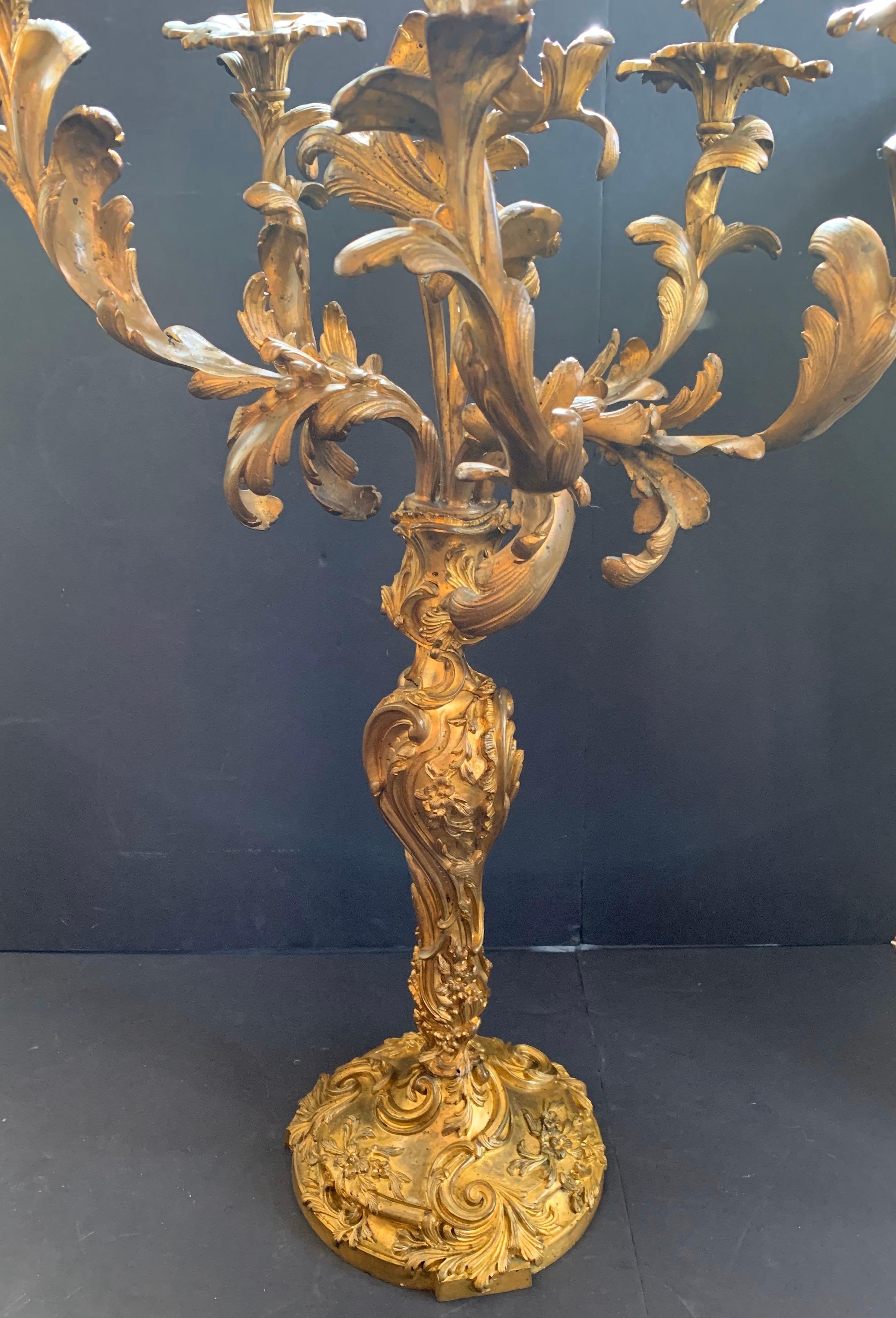 Monumental Rococo Doré Bronze Six-Arm Scrolling Acanthus Leaves Candelabras Pair In Good Condition In Roslyn, NY