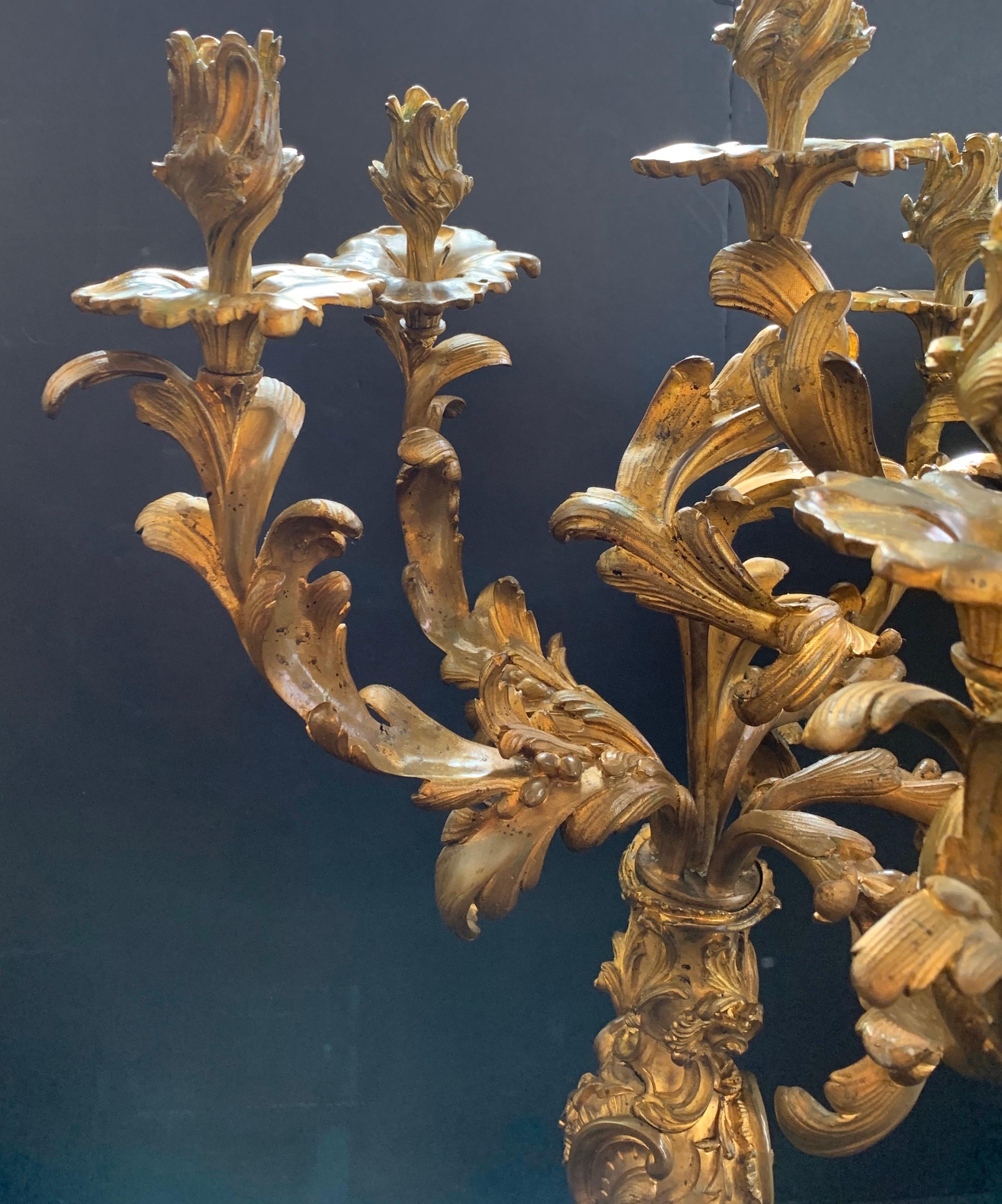 19th Century Monumental Rococo Doré Bronze Six-Arm Scrolling Acanthus Leaves Candelabras Pair