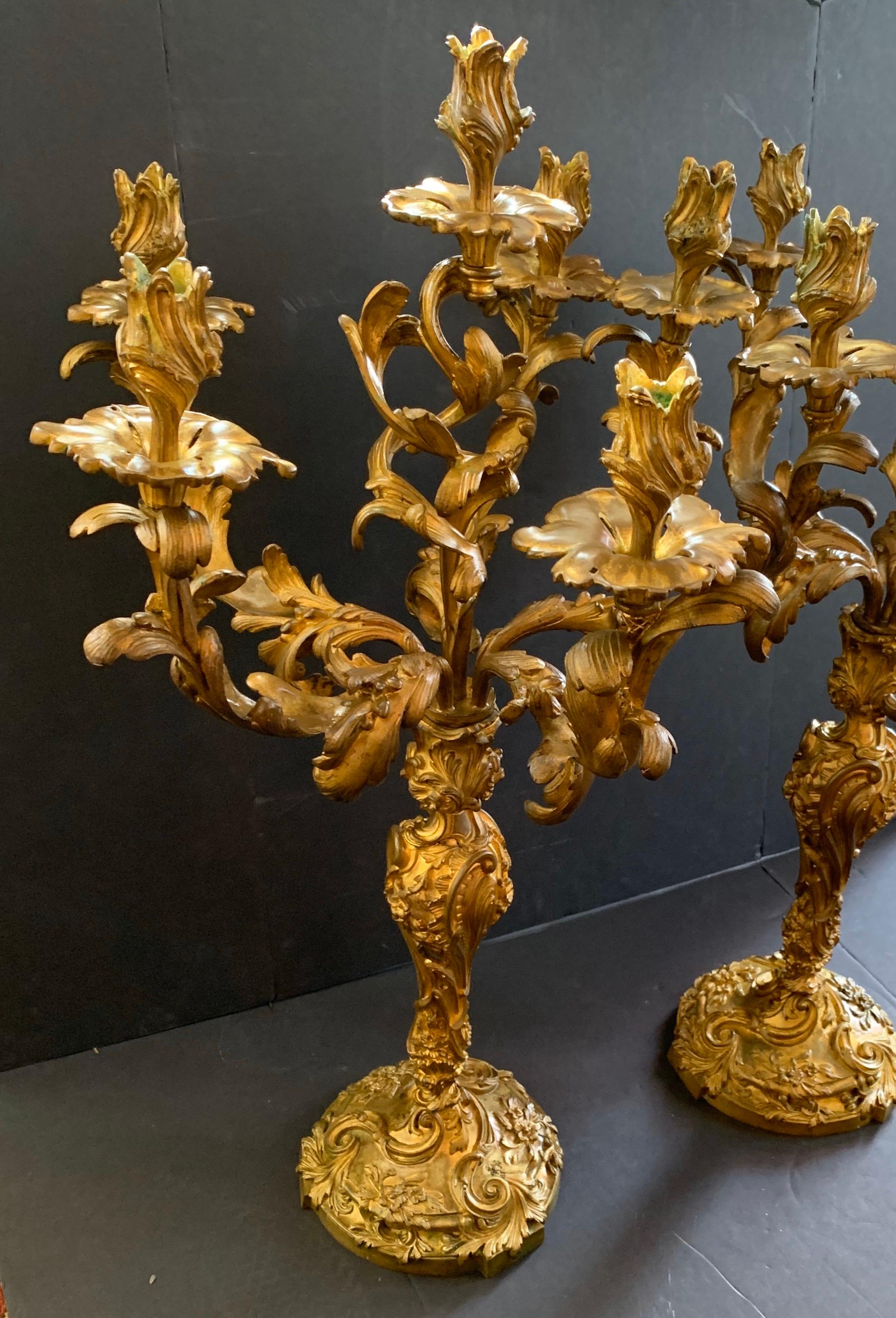 Monumental Rococo Doré Bronze Six-Arm Scrolling Acanthus Leaves Candelabras Pair 1