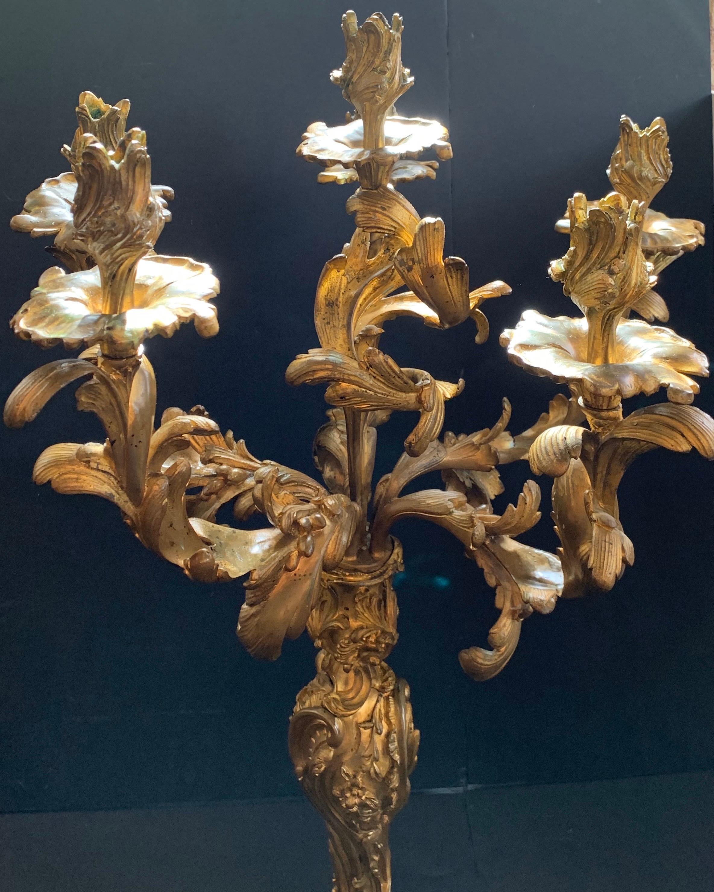 Monumental Rococo Doré Bronze Six-Arm Scrolling Acanthus Leaves Candelabras Pair 2