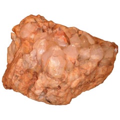 Other Natural Specimens