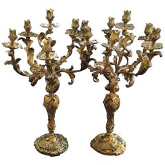 Monumental Rococo Doré Bronze Six-Arm Scrolling Acanthus Leaves Candelabras Pair