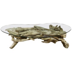 Monumental Root Table Base with Glass Top