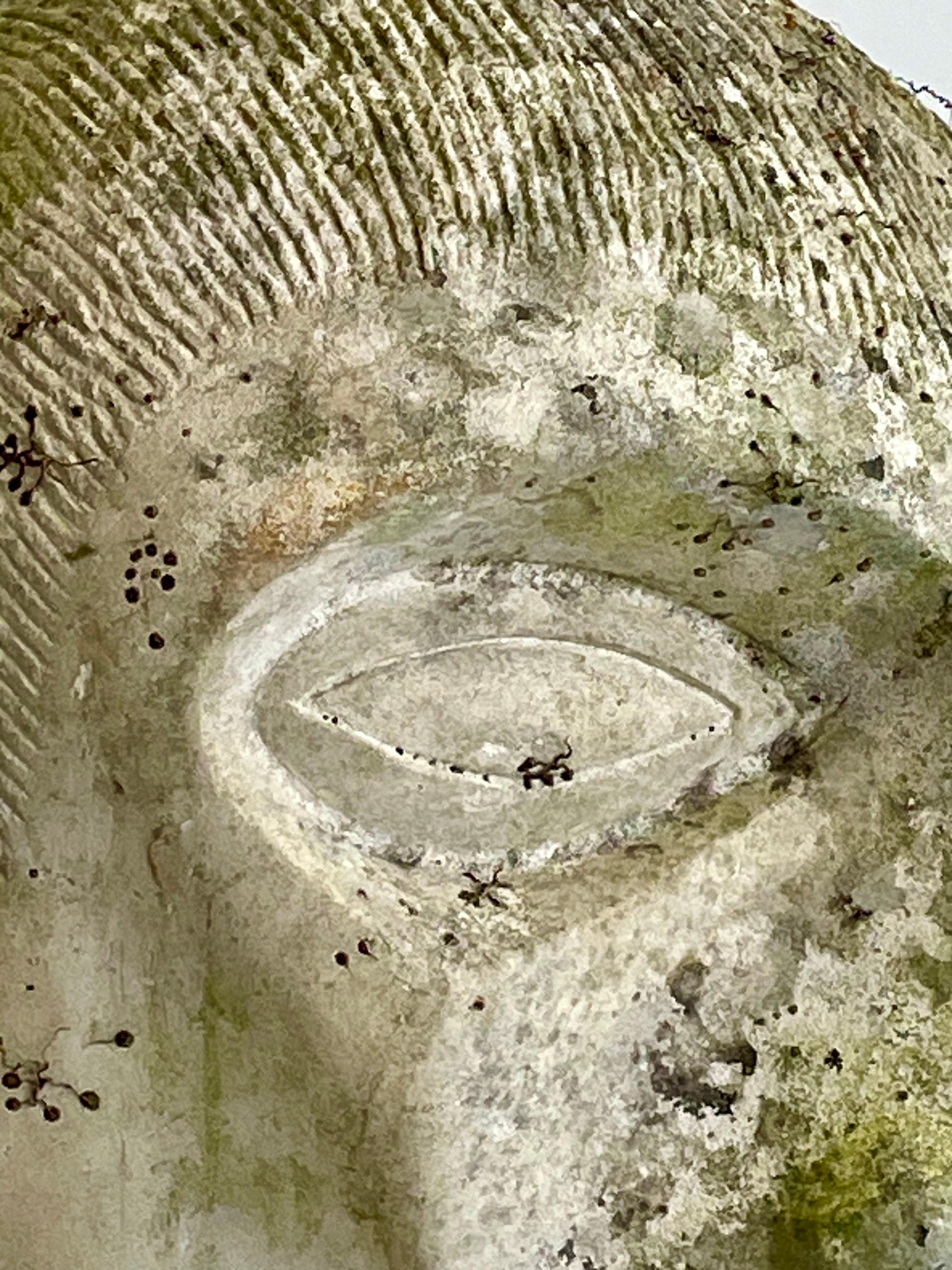 Intagliato a mano Testa monumentale in pietra scolpita, Francia, anni '60 in vendita