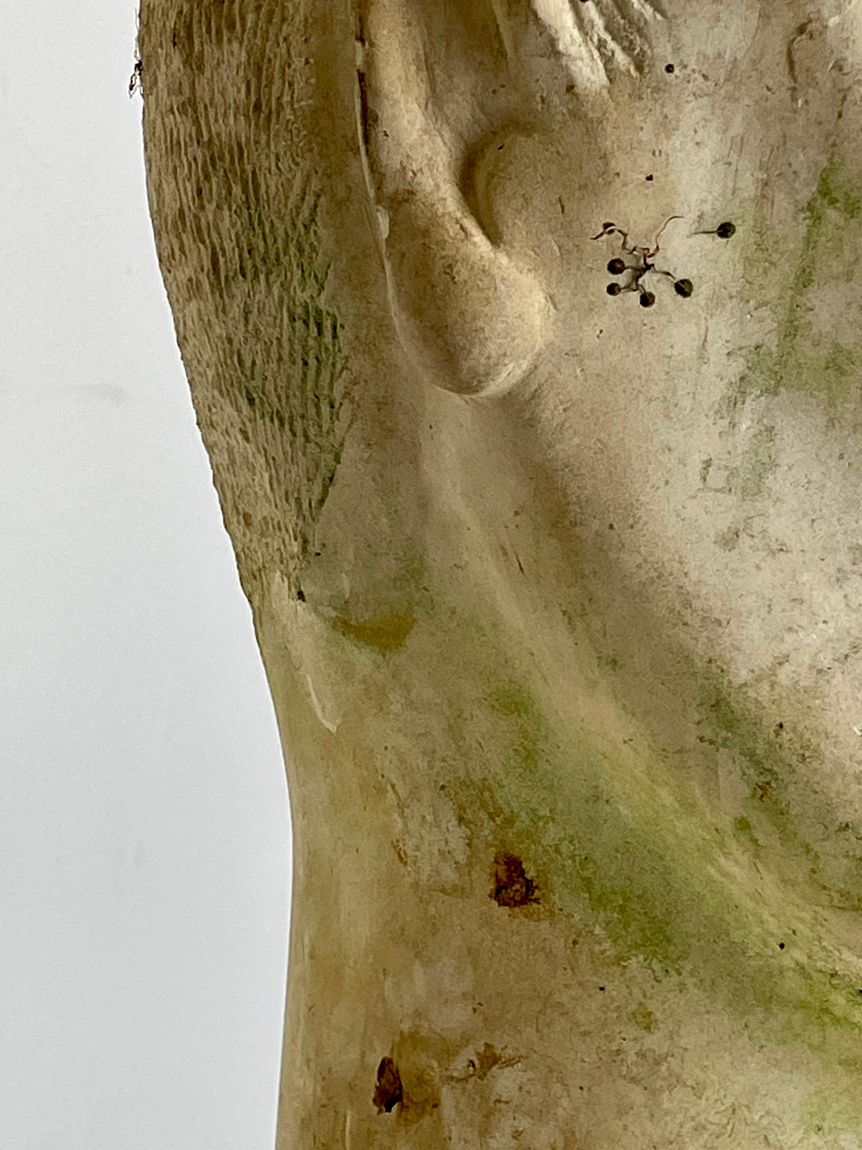 Metà XX secolo Testa monumentale in pietra scolpita, Francia, anni '60 in vendita