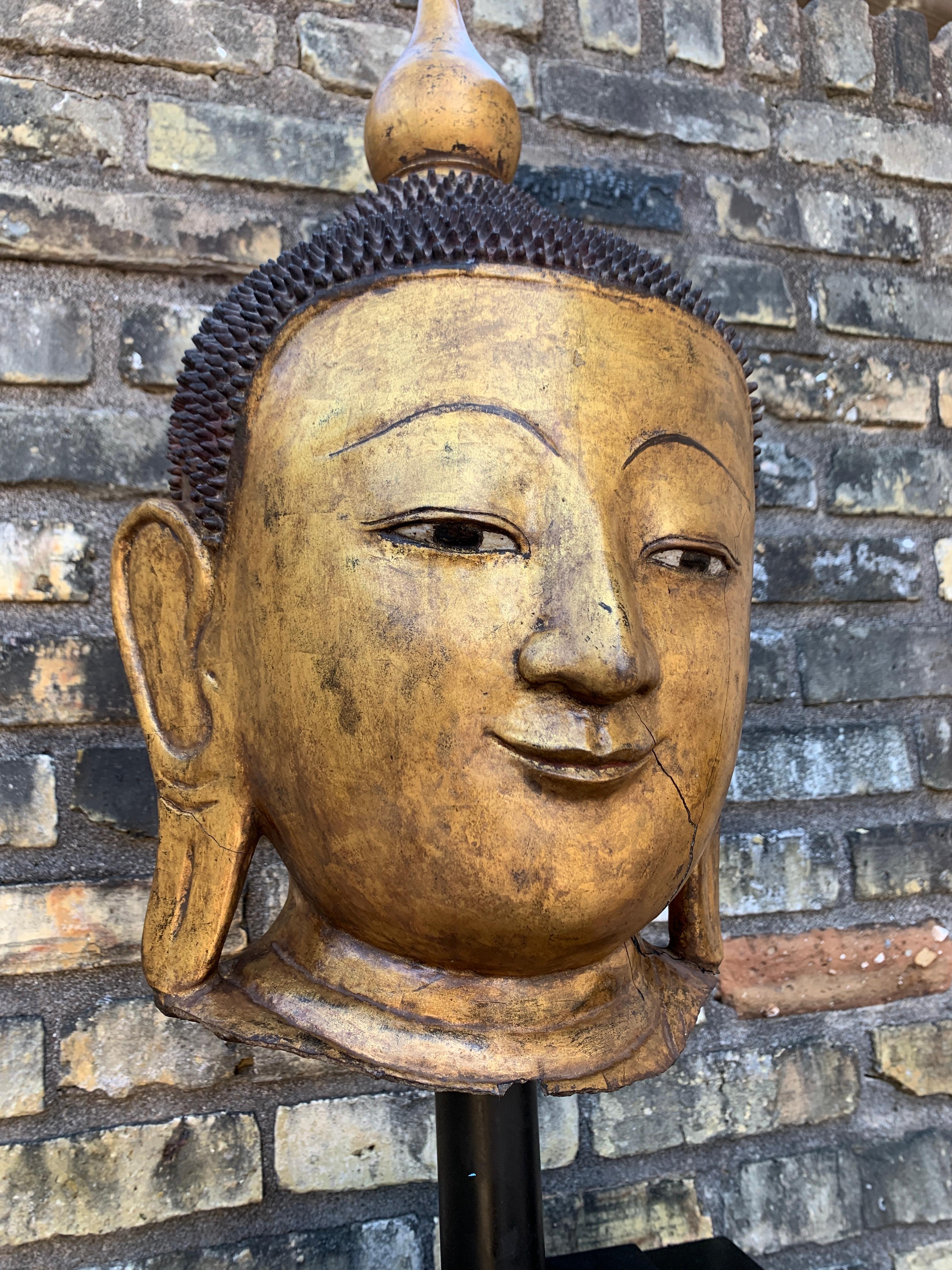 Monumentale tête de Bouddha birmane Shan en laque dorée, début du 20e siècle en vente 3