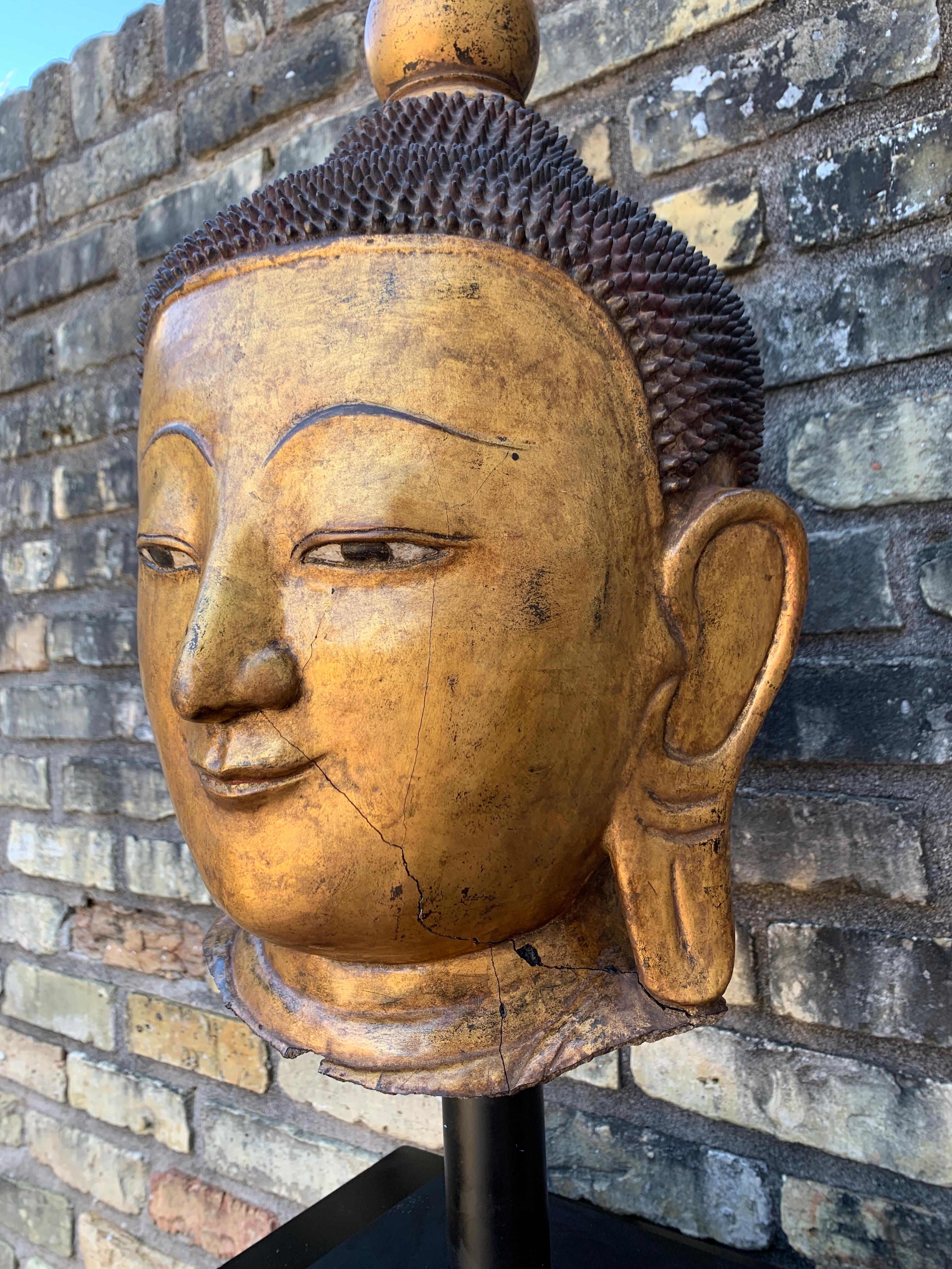 Monumentale tête de Bouddha birmane Shan en laque dorée, début du 20e siècle en vente 4