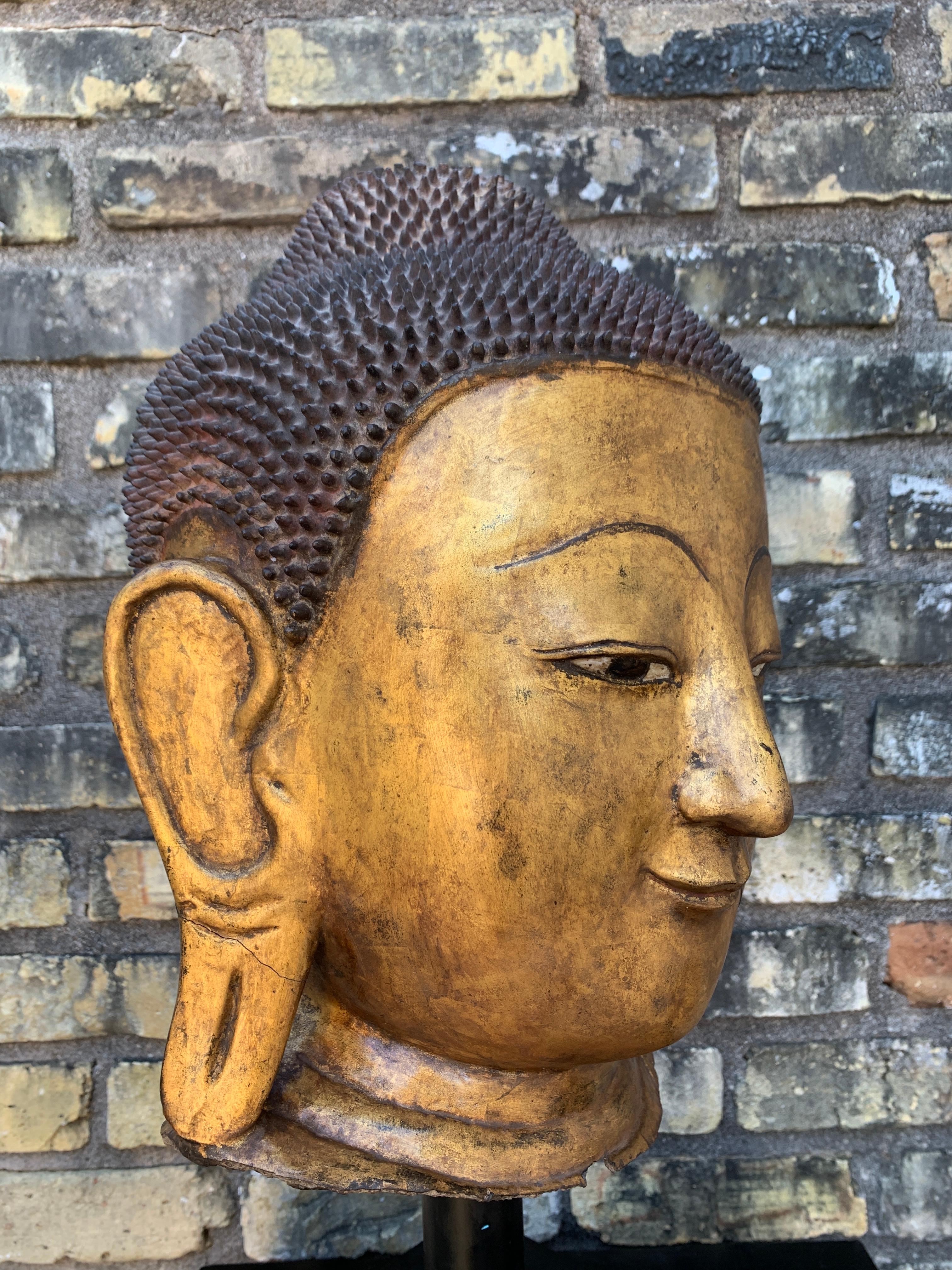 Monumentale tête de Bouddha birmane Shan en laque dorée, début du 20e siècle en vente 5