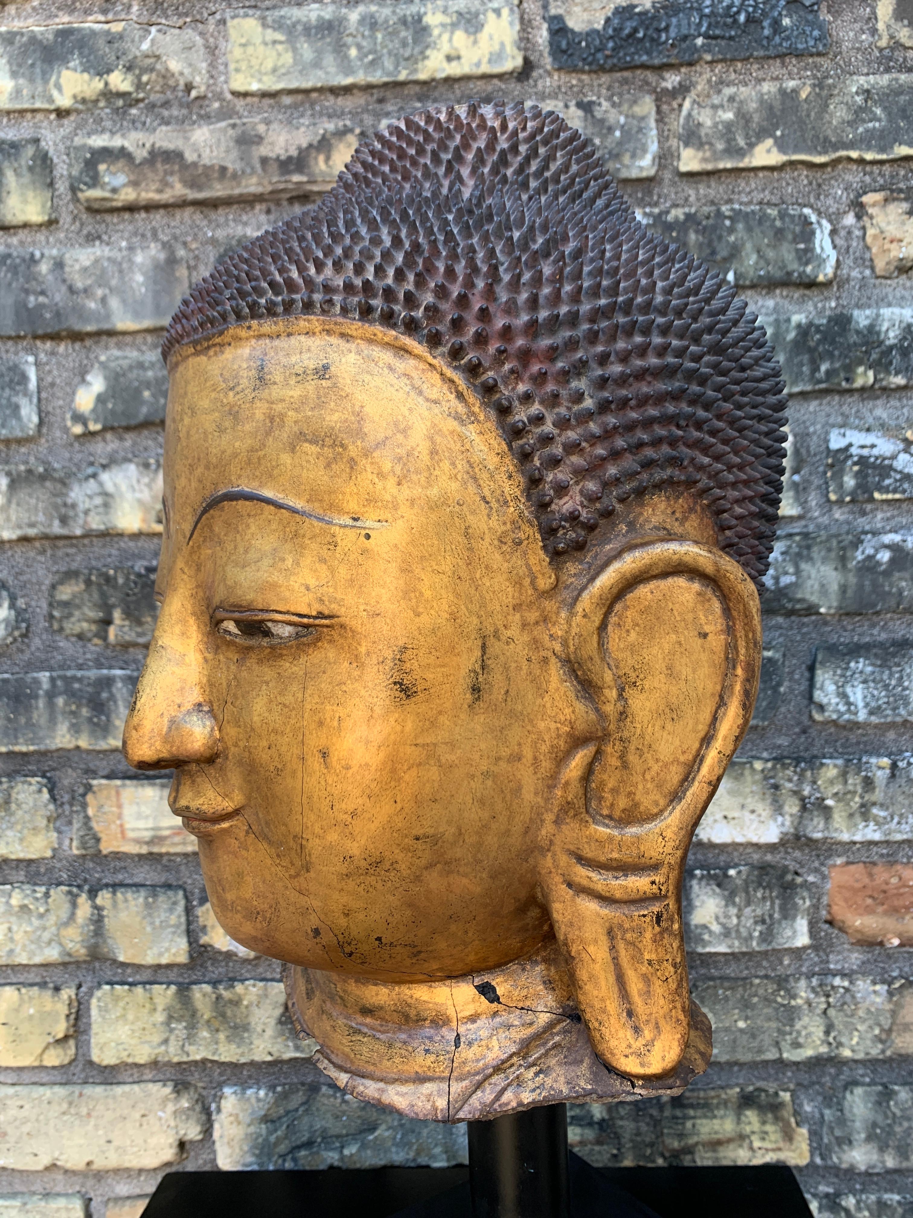 Monumentale tête de Bouddha birmane Shan en laque dorée, début du 20e siècle en vente 6