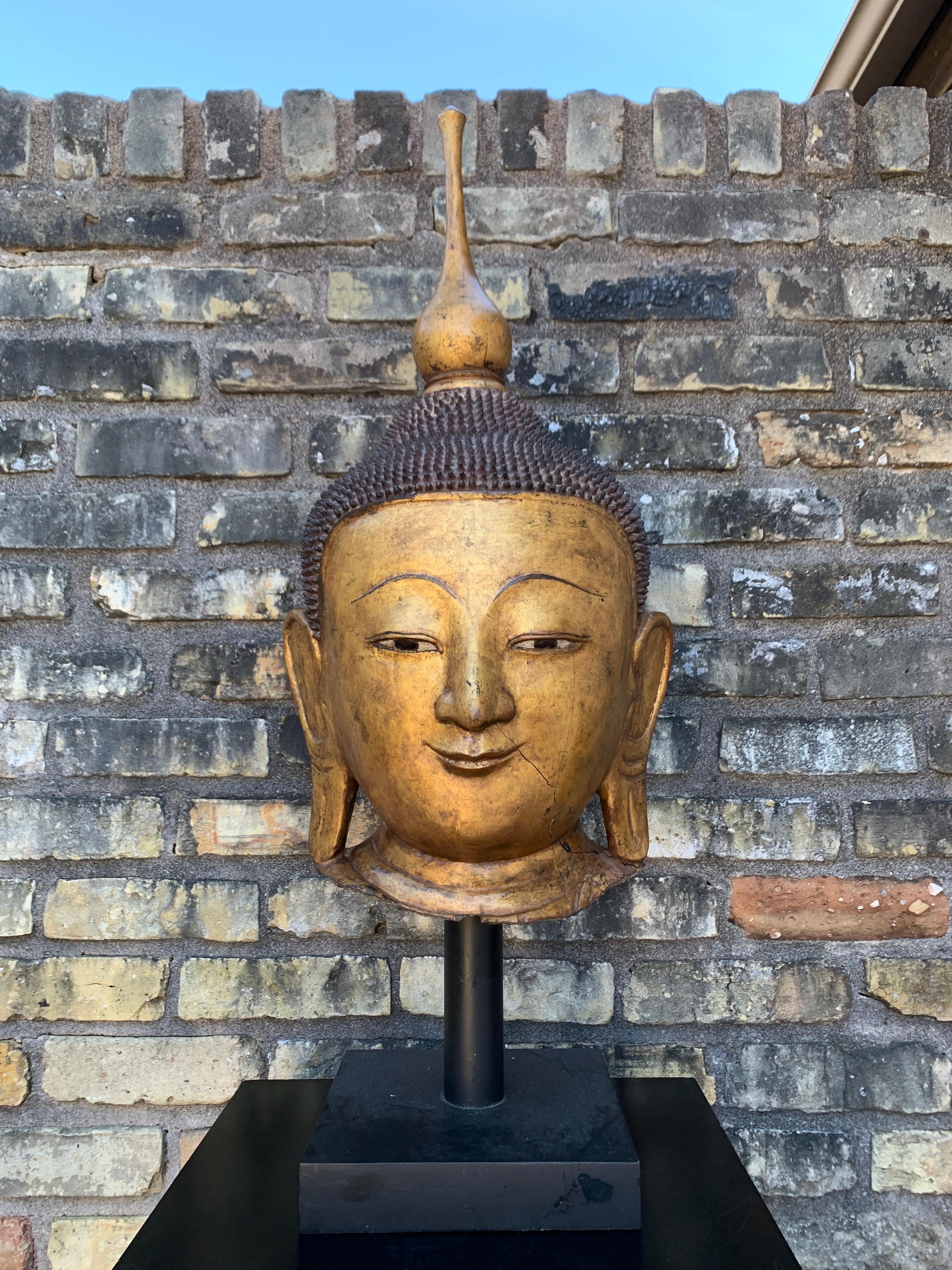 Tête monumentale de Bouddha en laque sèche dorée, États Shan, Myanmar (Birmanie), début du XXe siècle.

Cette tête monumentale en laque sèche et dorée devait à l'origine faire partie d'une statue du Bouddha plus grande que nature.
Le visage chaud et