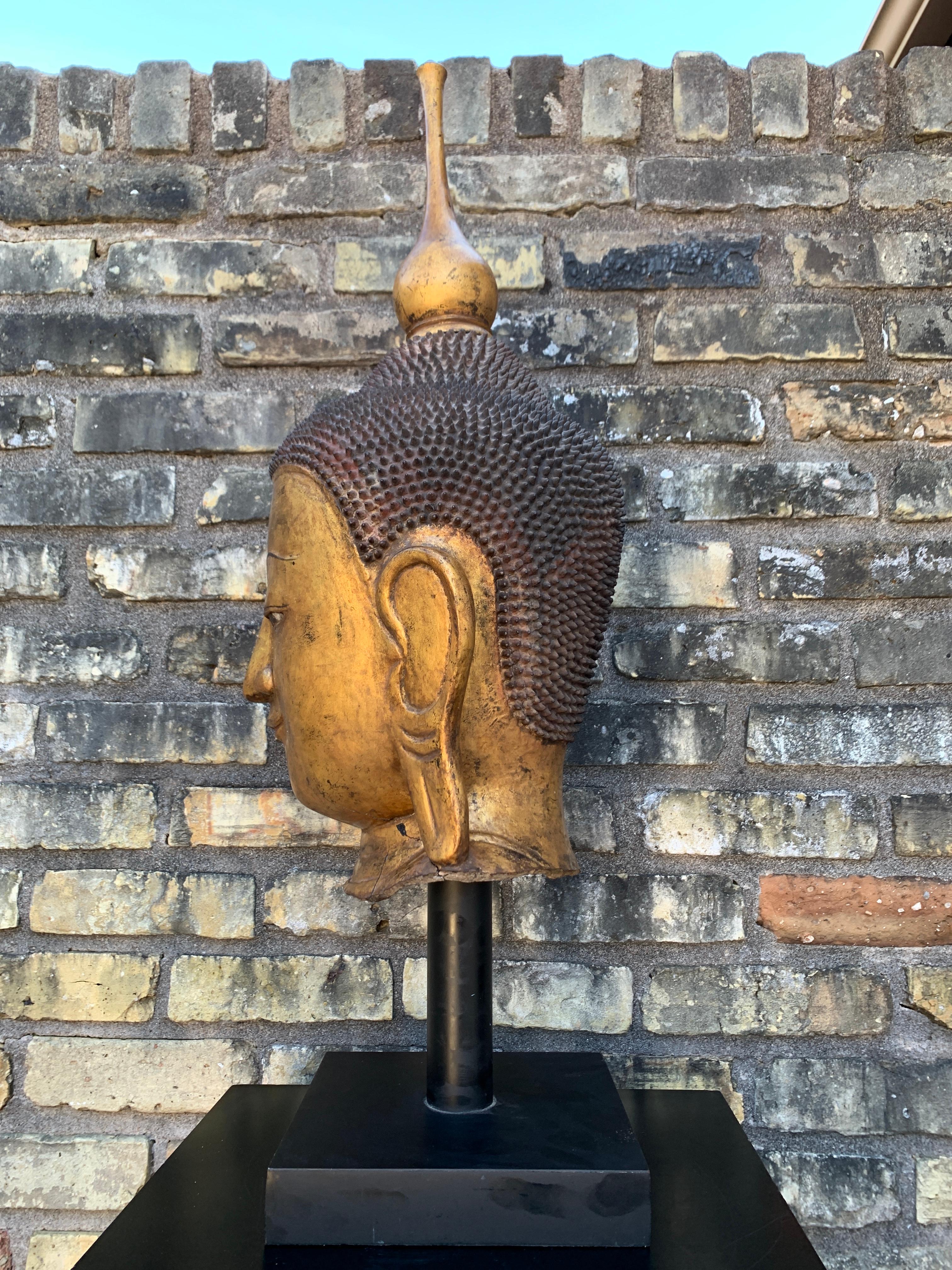 Monumental Shan Burmese Gilt Lacquer Buddha Head, Early 20th Century In Fair Condition For Sale In Austin, TX