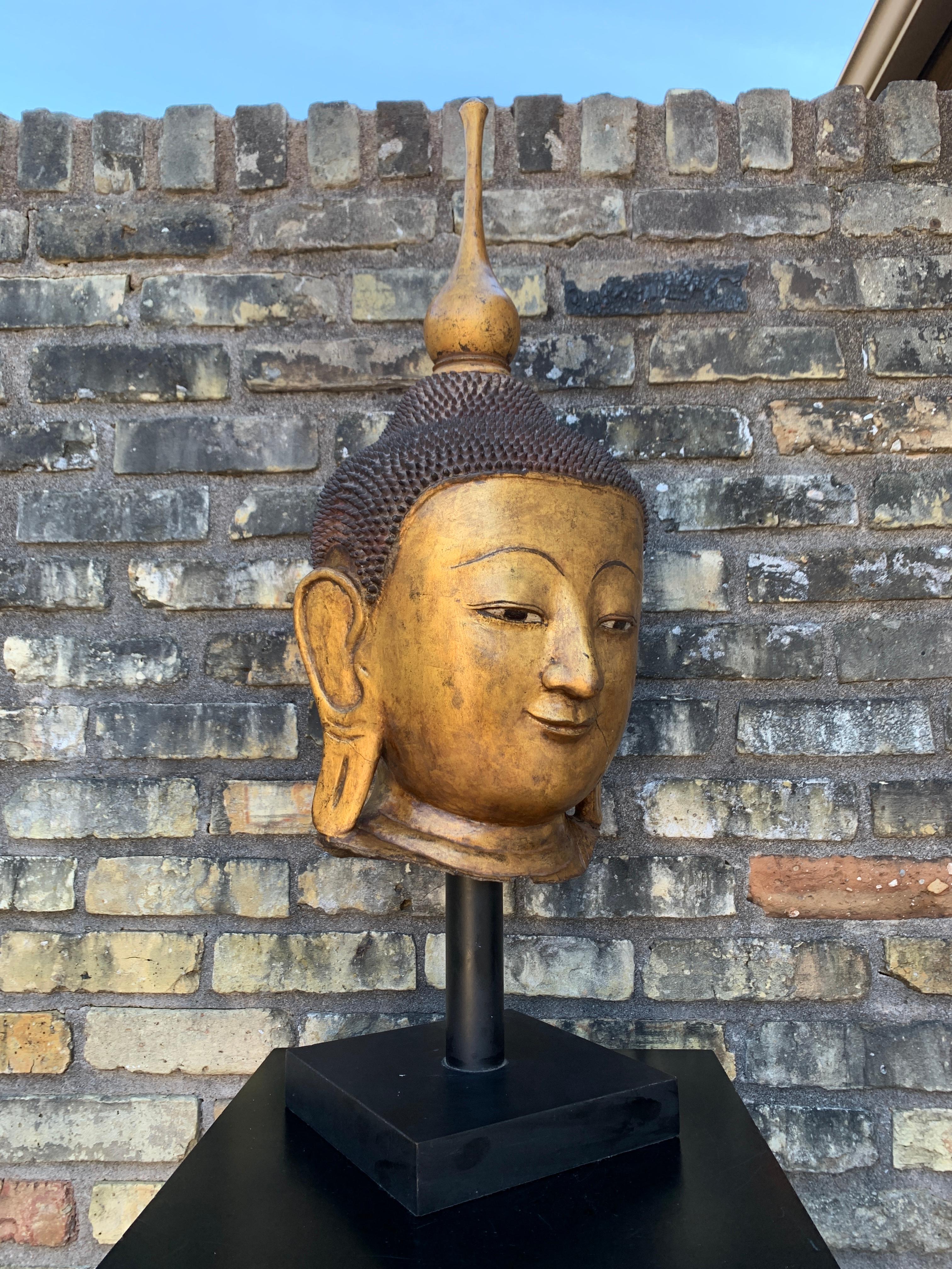 20ième siècle Monumentale tête de Bouddha birmane Shan en laque dorée, début du 20e siècle en vente