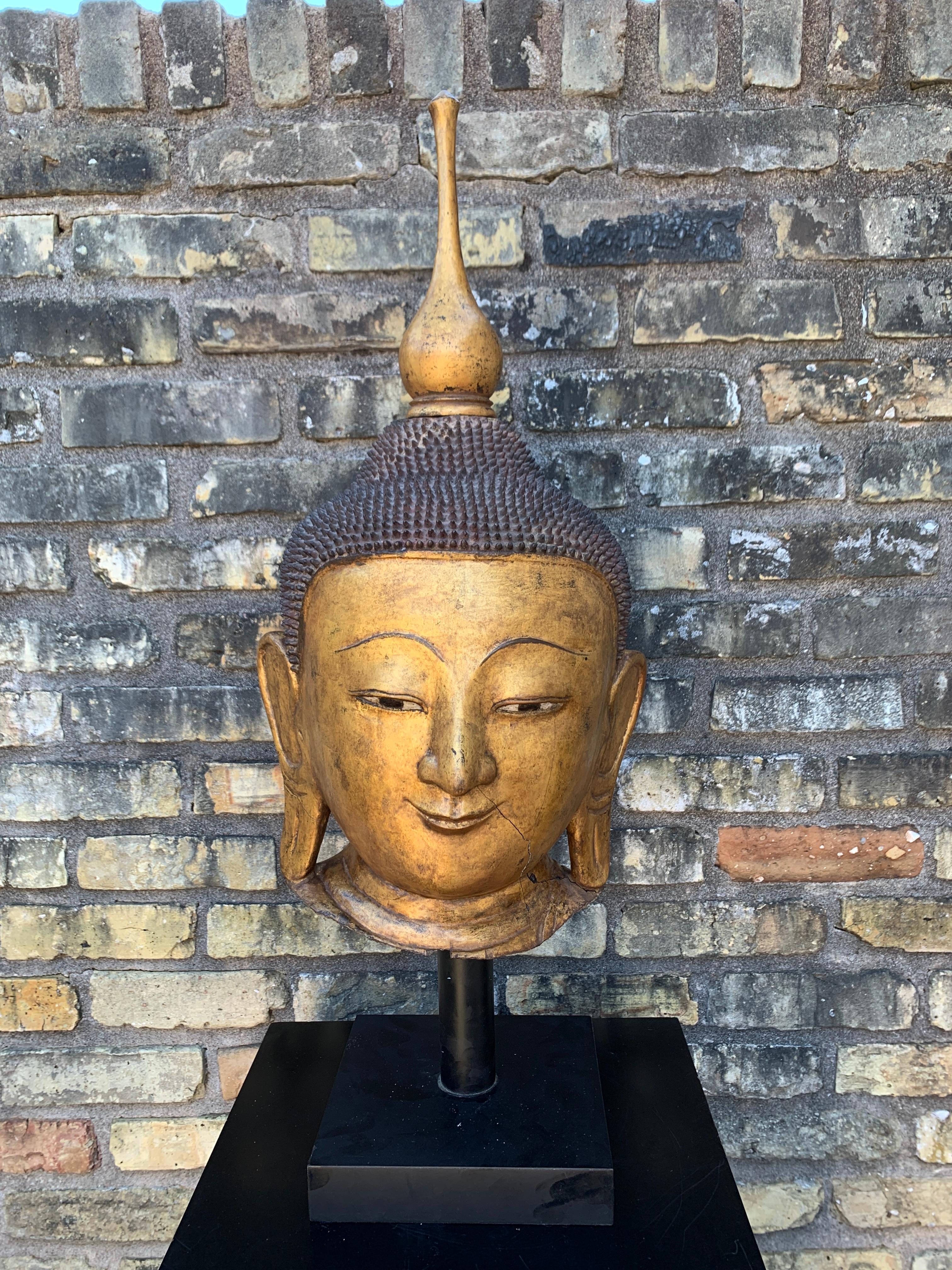 Monumental Shan Burmese Gilt Lacquer Buddha Head, Early 20th Century For Sale 3