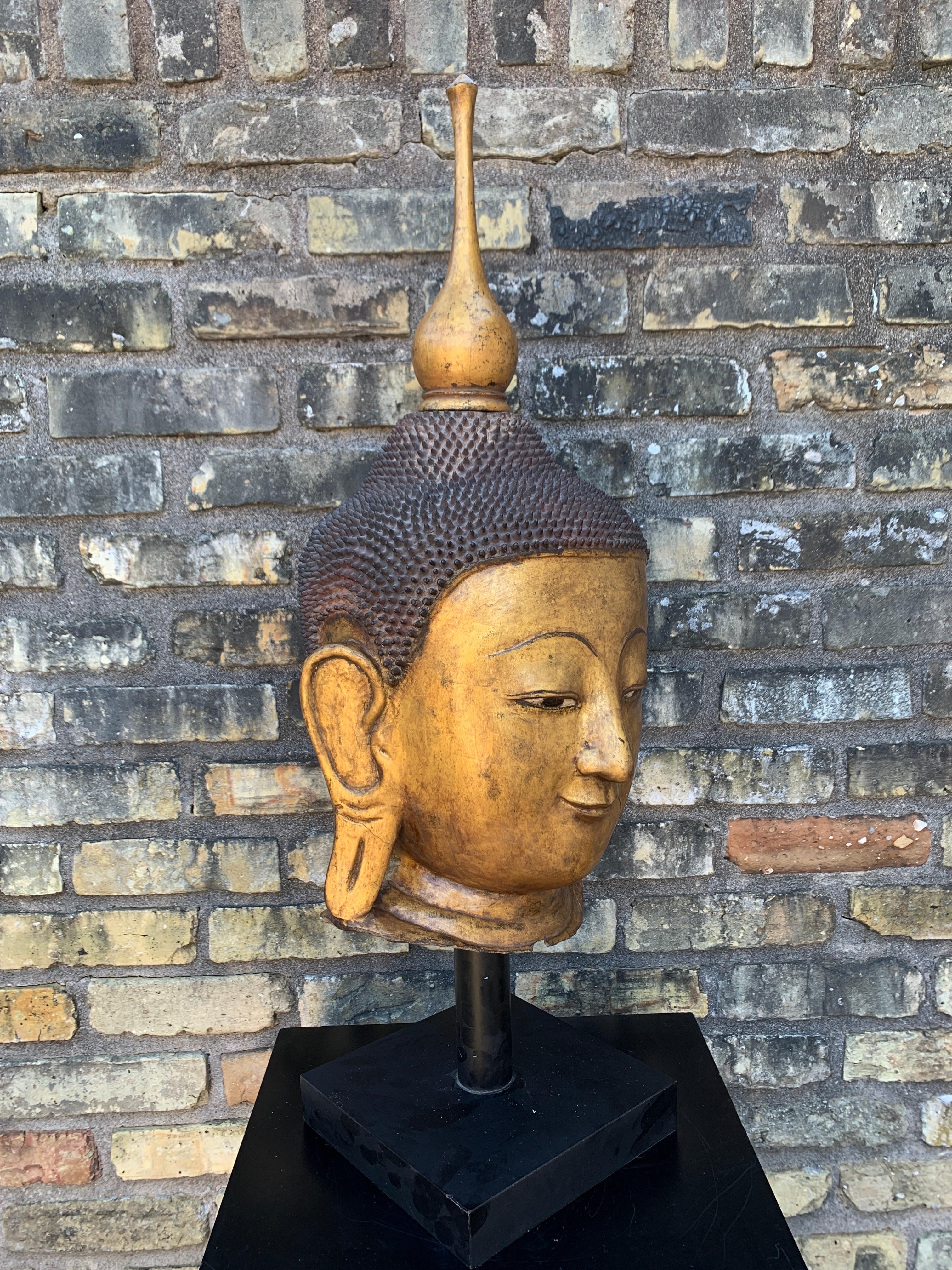 Monumentale tête de Bouddha birmane Shan en laque dorée, début du 20e siècle en vente 1