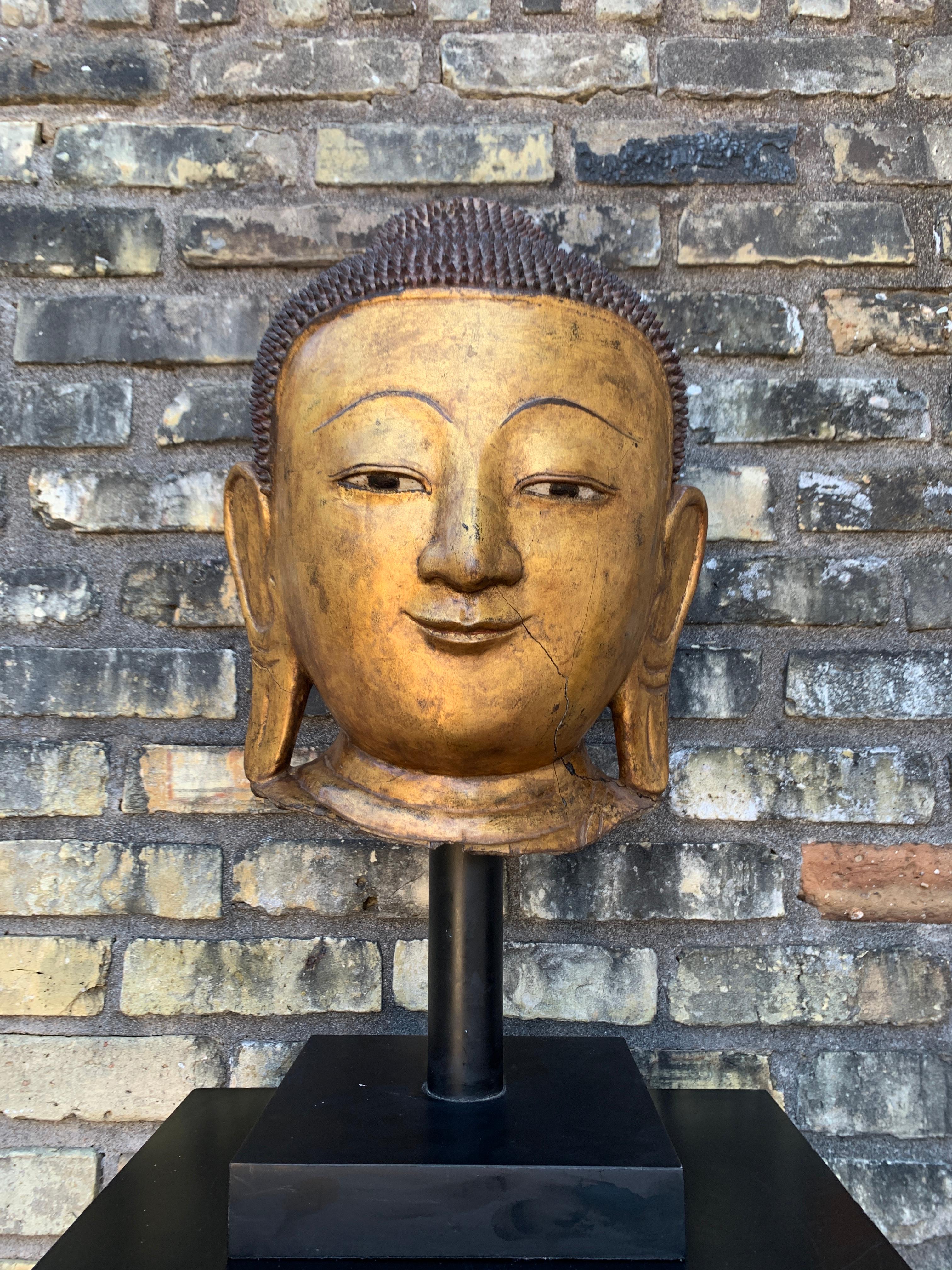 Monumentale tête de Bouddha birmane Shan en laque dorée, début du 20e siècle en vente 2
