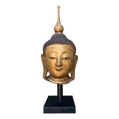 Monumentale testa di Buddha in lacca dorata birmana Shan, inizio XX secolo