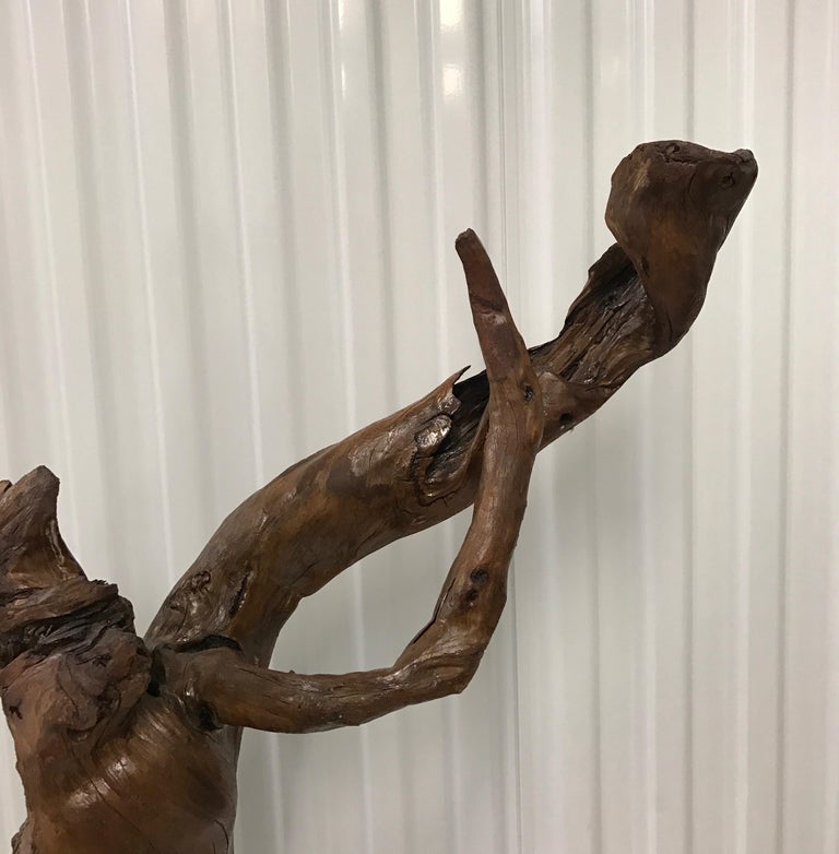 Vintage Tall Natural Driftwood Tree Branch Sculpture at 1stDibs