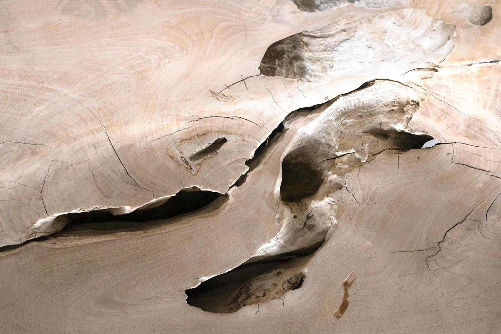 Banc d'extérieur en teck Monumental en vente 6